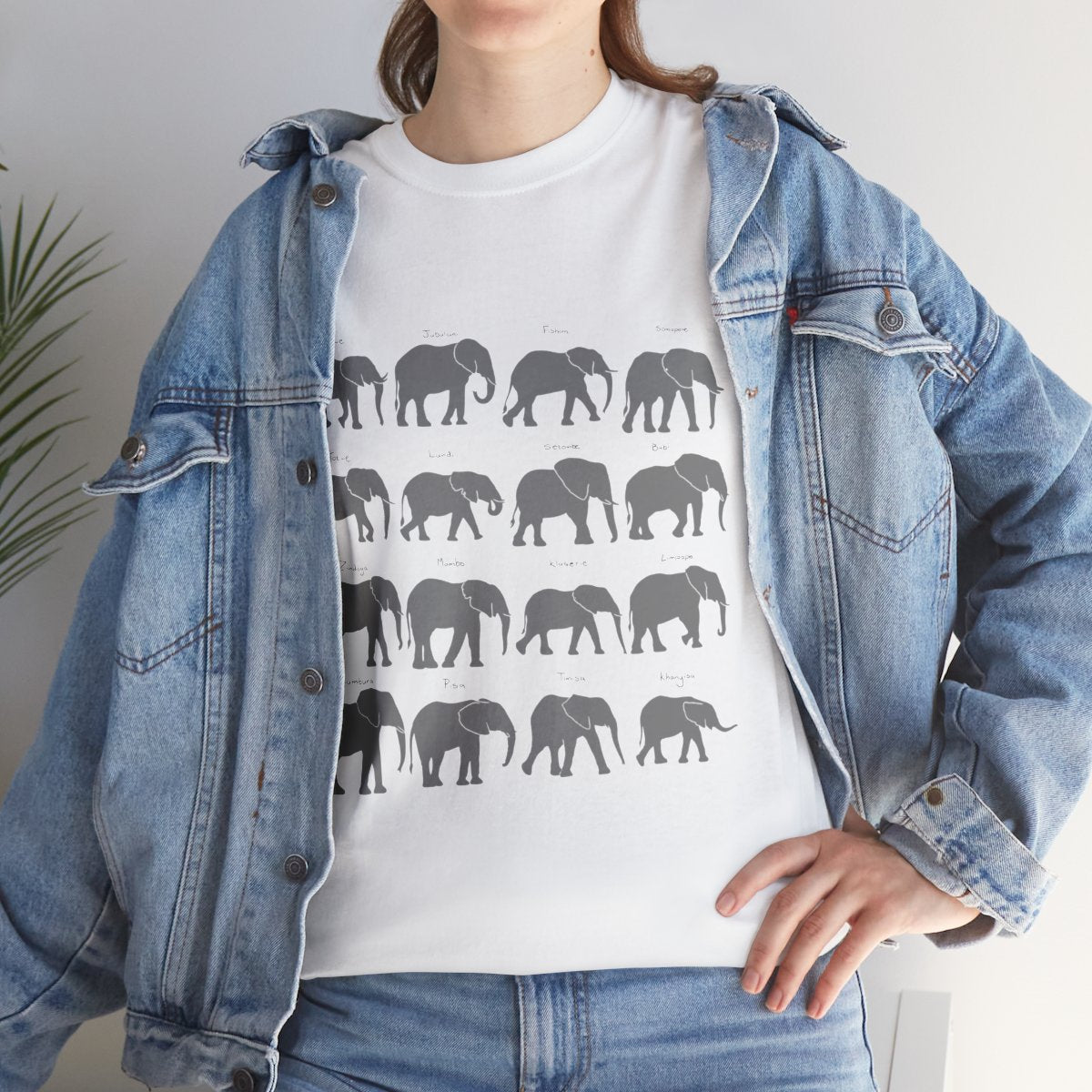 The Jabulani Herd