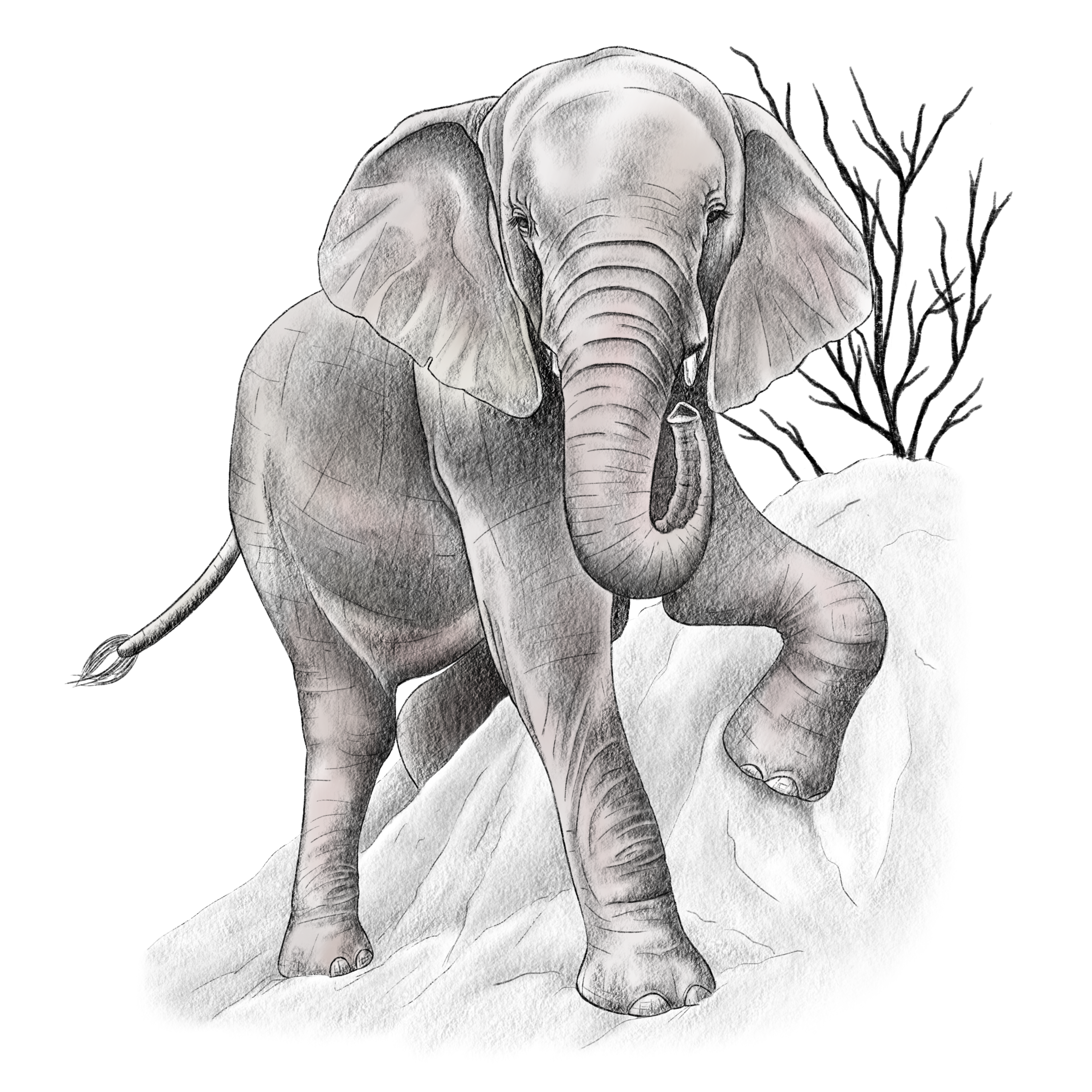 Khanyisa