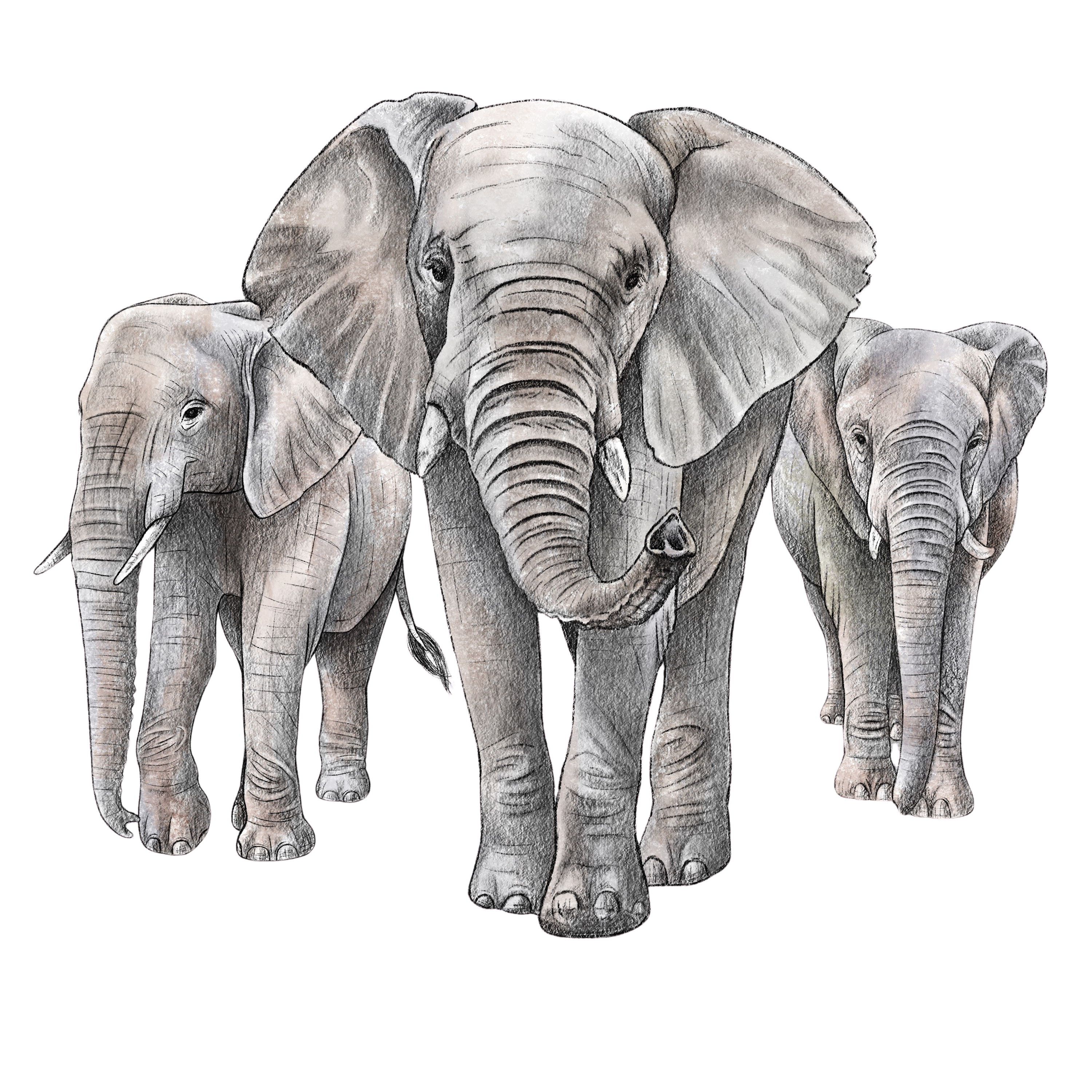 World Elephant Day
