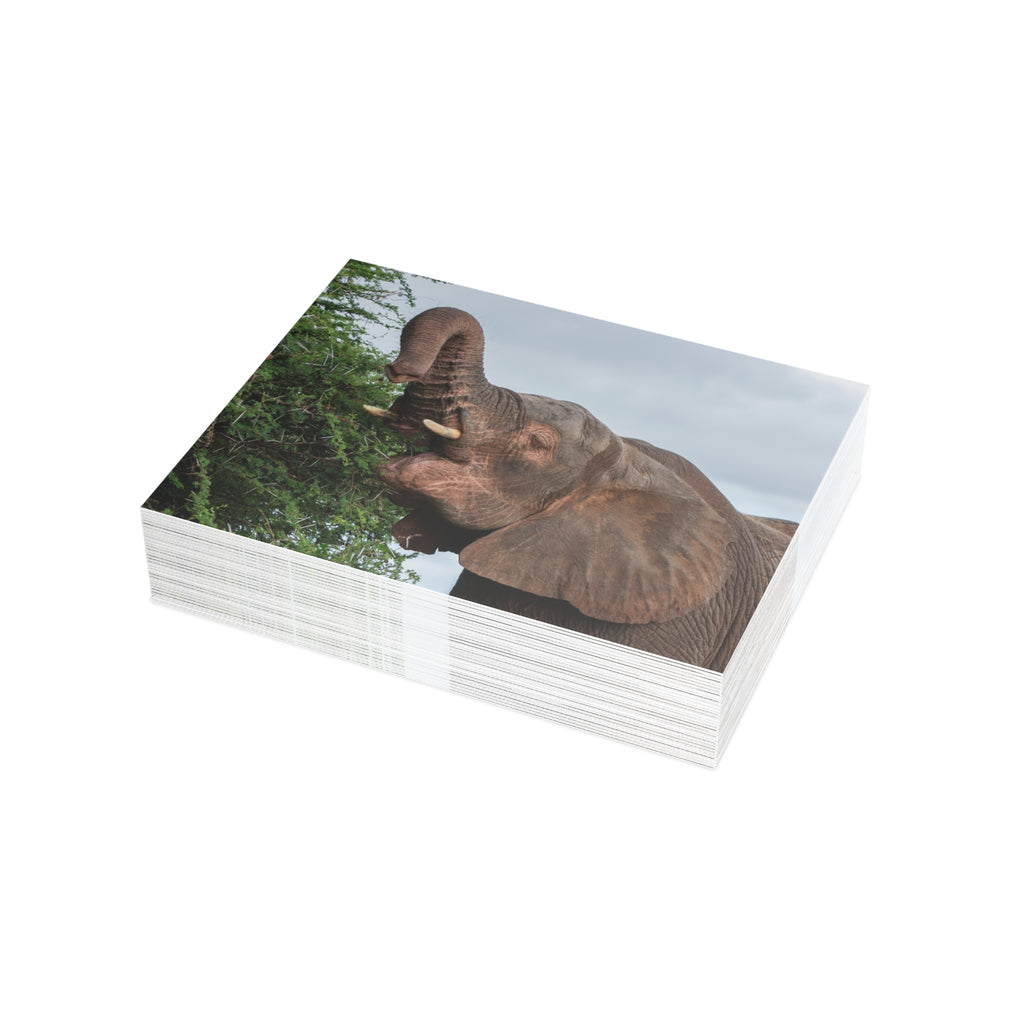 Khanyisa Postcards (with envelopes) 10's