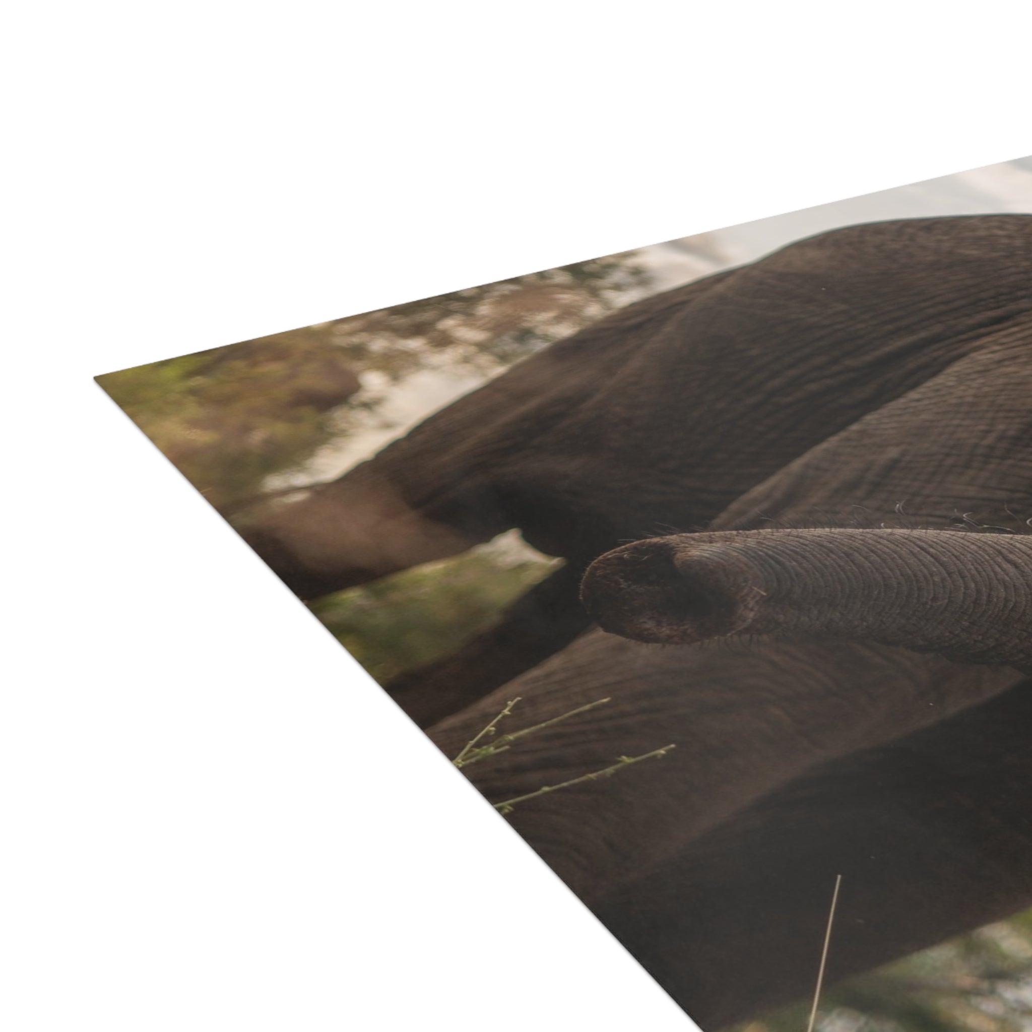 Kumbura Postcards (with envelopes) 10's