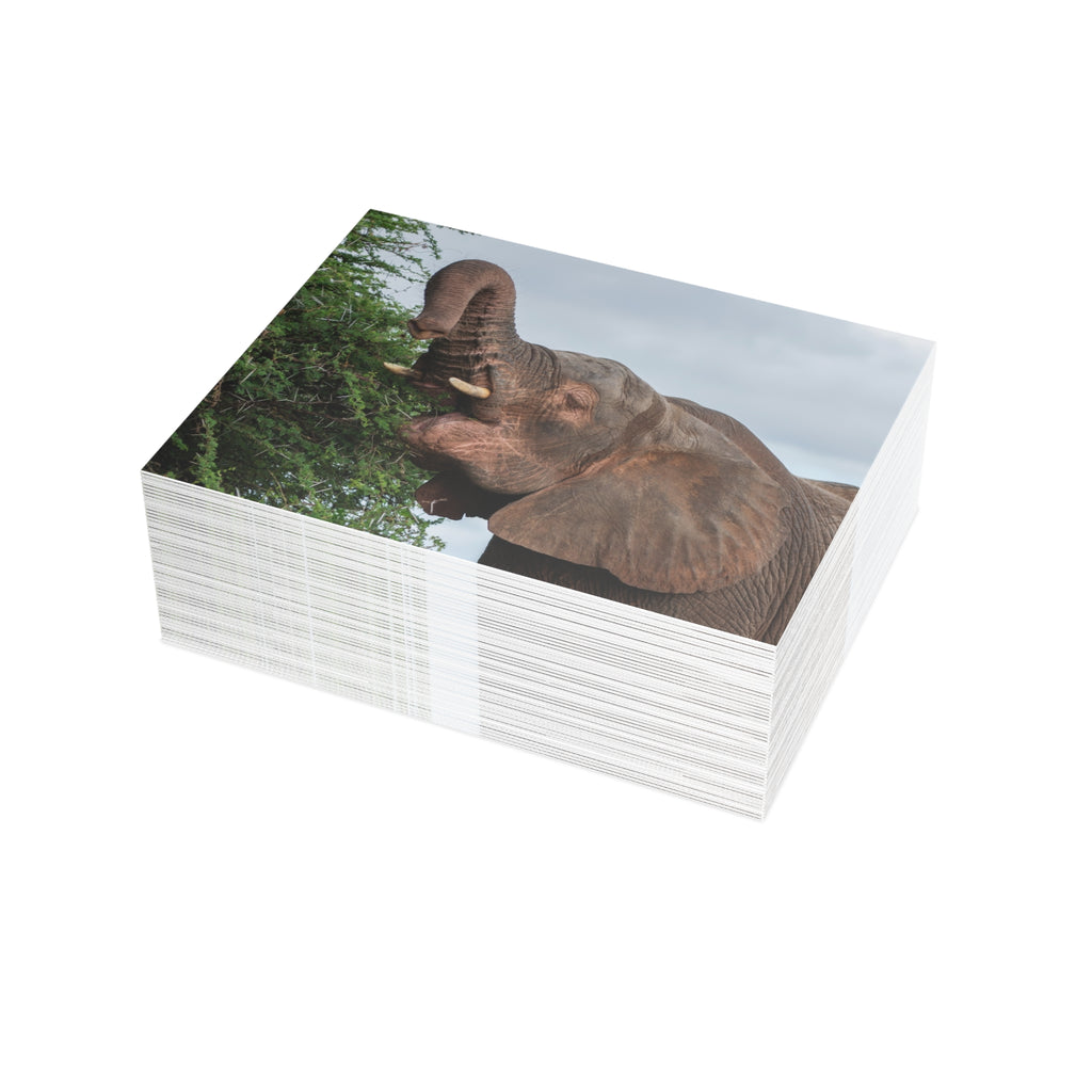 Khanyisa Postcards (with envelopes) 10's