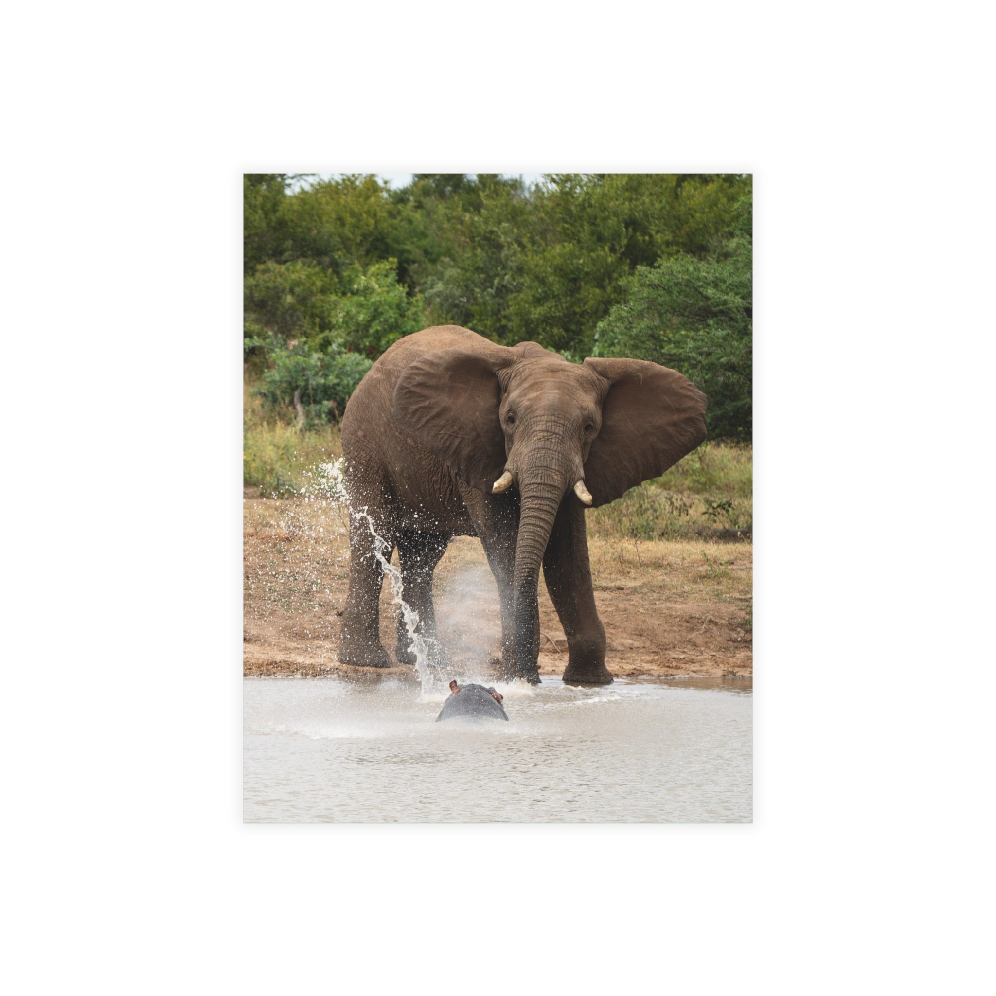 Fishan Postcards (with envelopes) 10's