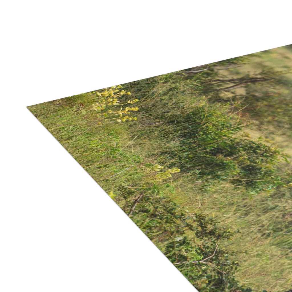 Jabulani Postcards (with envelopes) 10's