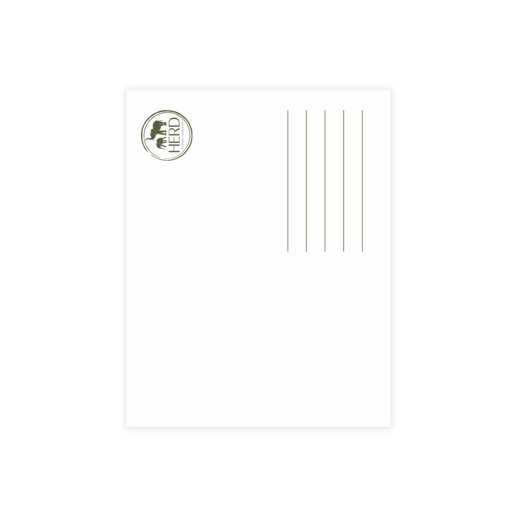 Mambo Postcards (with envelopes) 10's