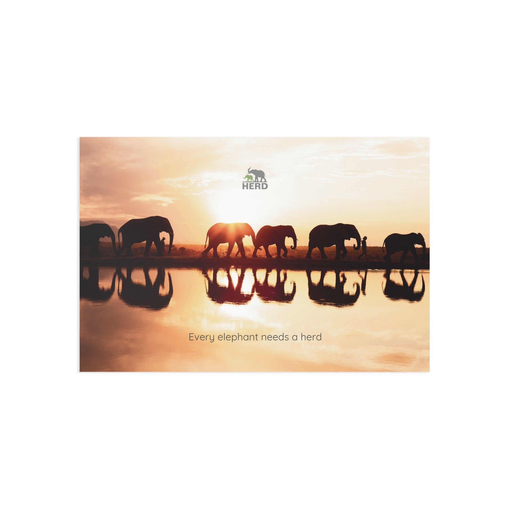 HERD Sunset Postcard