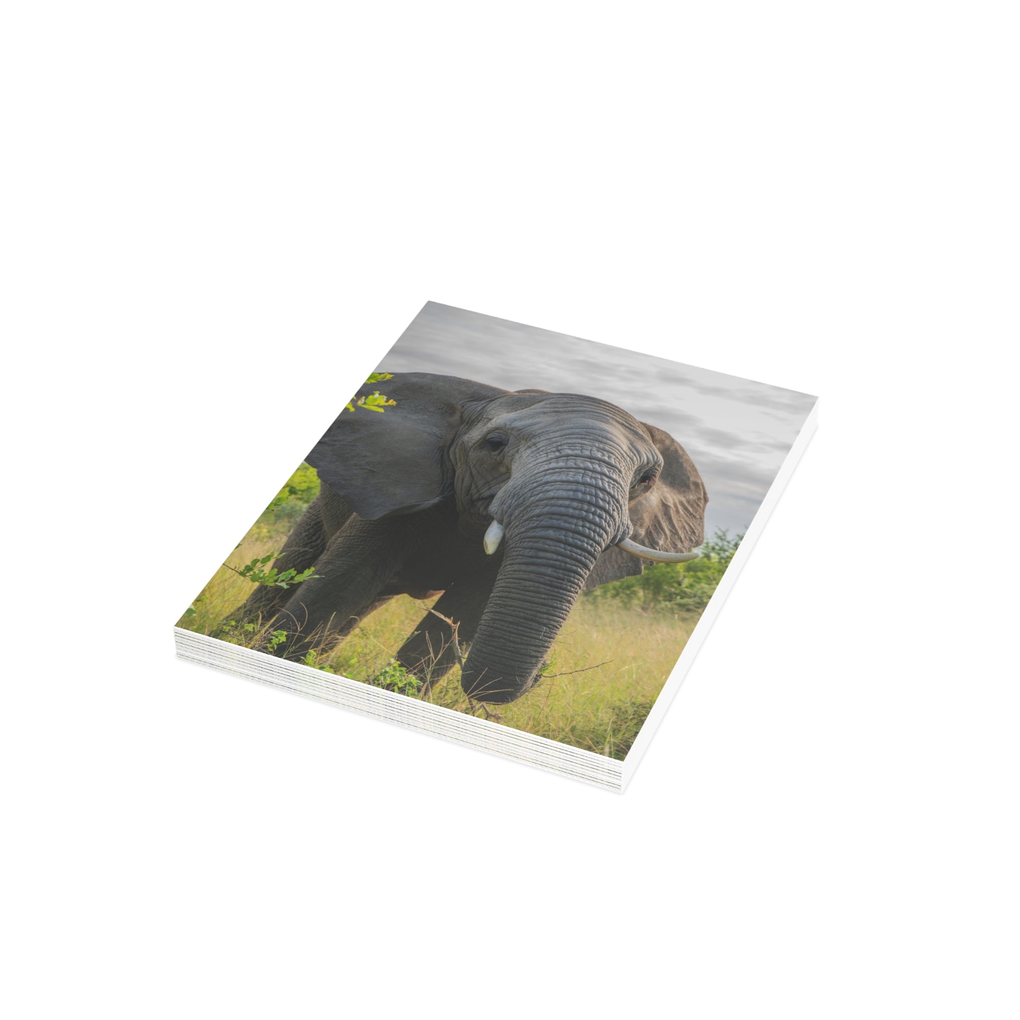 Bubi Postcards (with envelopes) 10's