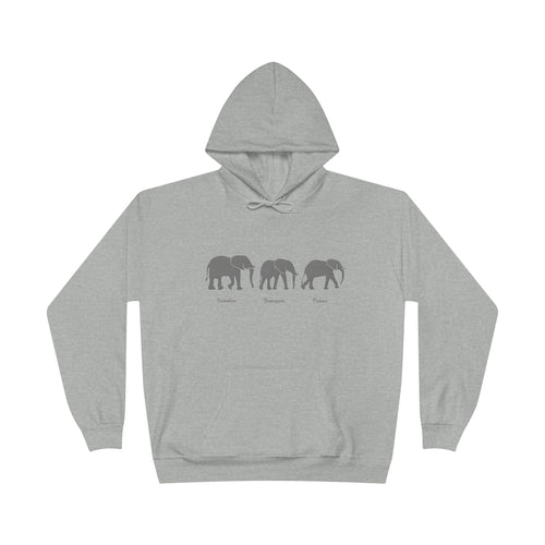Fatherhood Unisex EcoSmart® Pullover Hoodie Sweatshirt