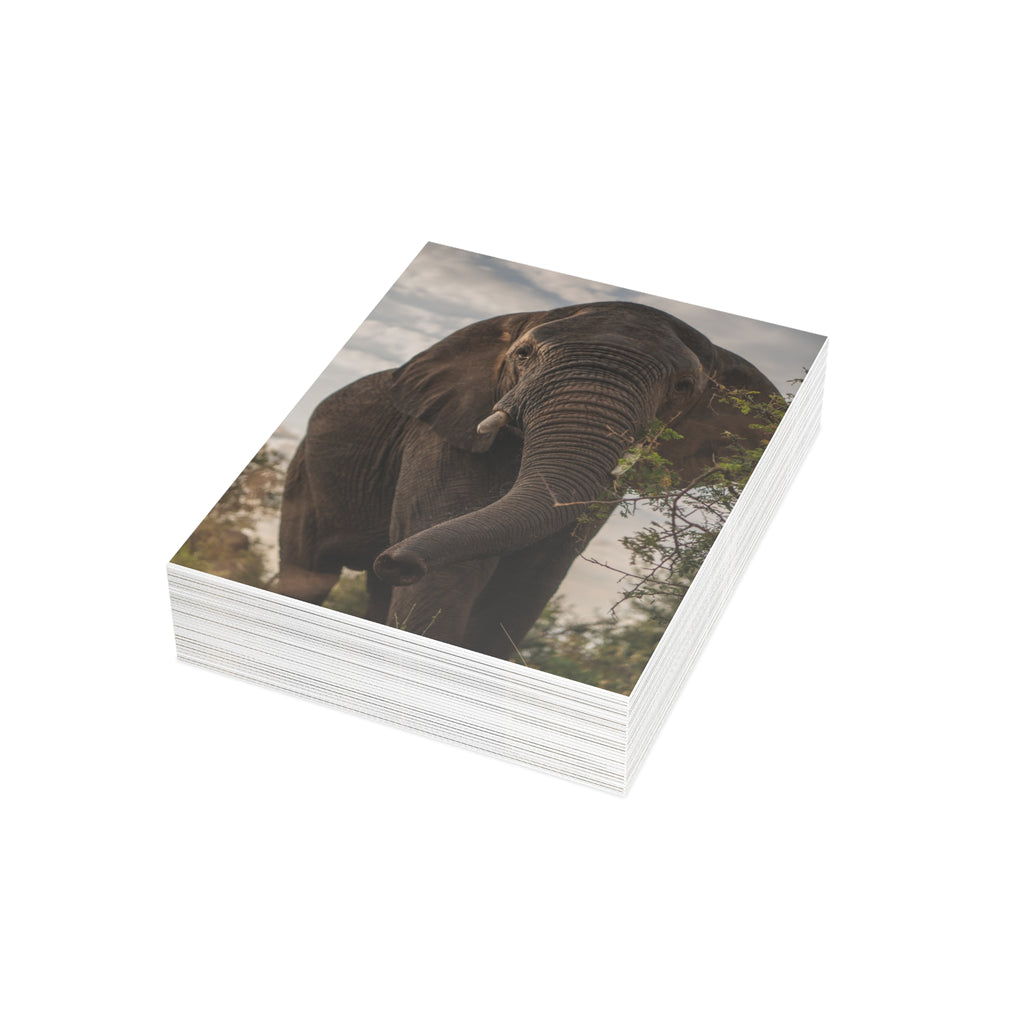 Kumbura Postcards (with envelopes) 10's