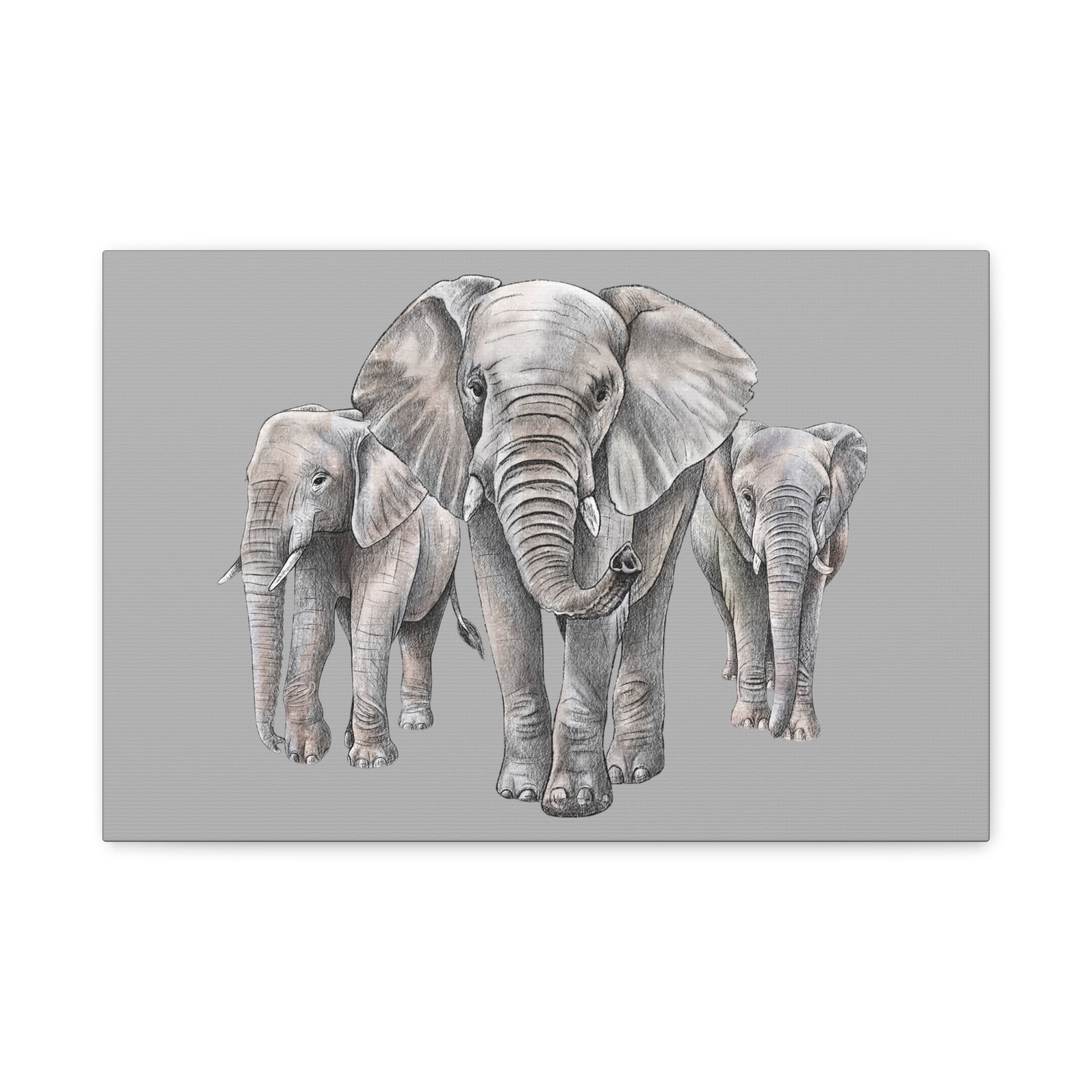 Lundi, Jabulani and Setombe Canvas