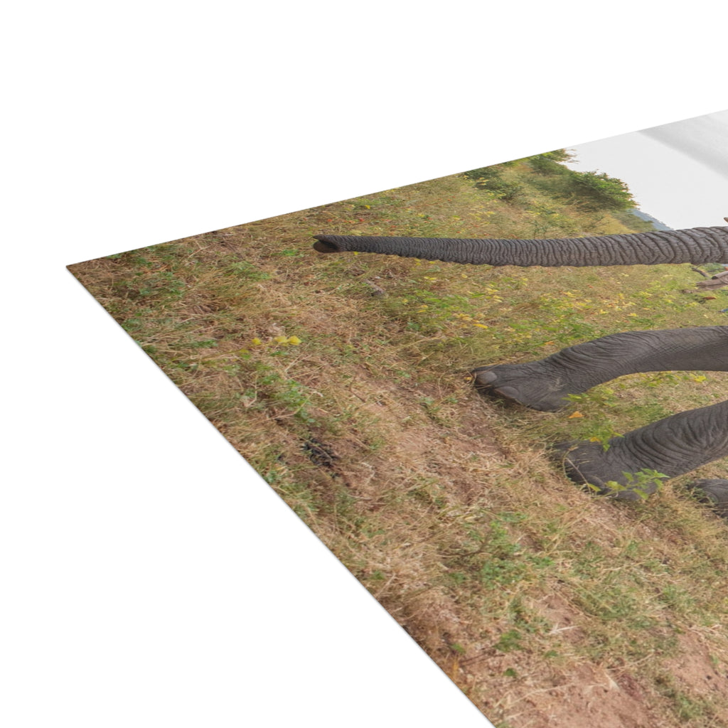 Mambo Postcards (with envelopes) 10's