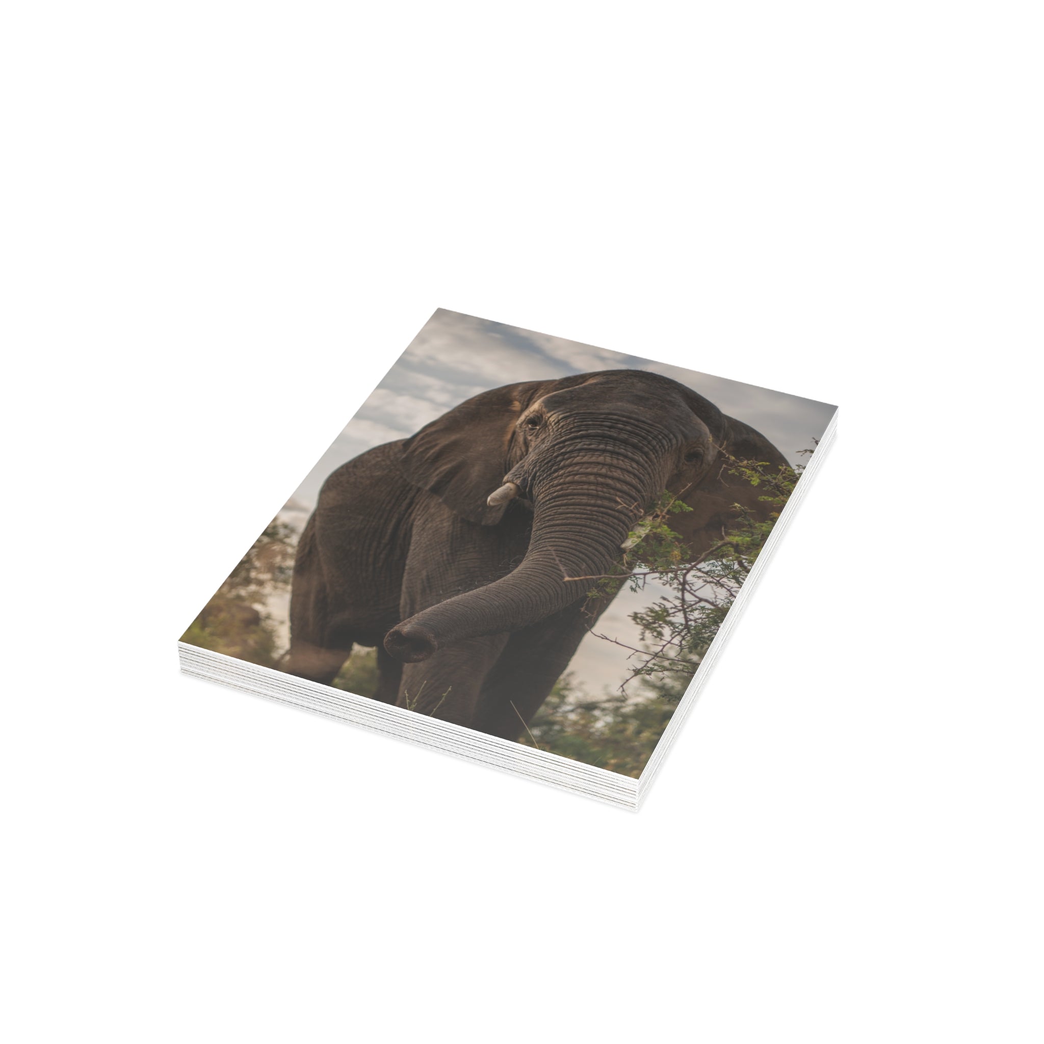 Kumbura Postcards (with envelopes) 10's