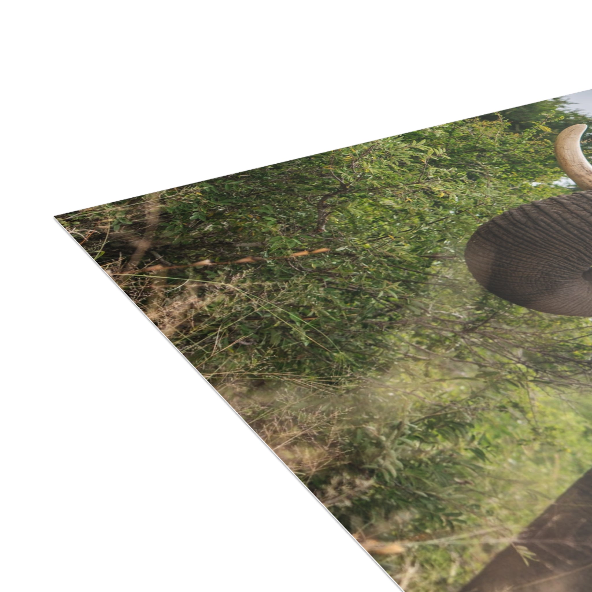 Sebakwe Postcards (with envelopes) 10's