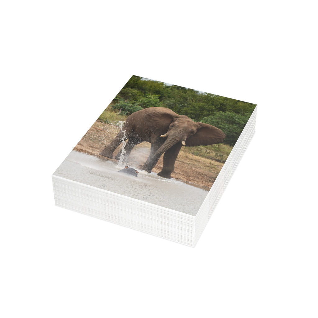 Fishan Postcards (with envelopes) 10's