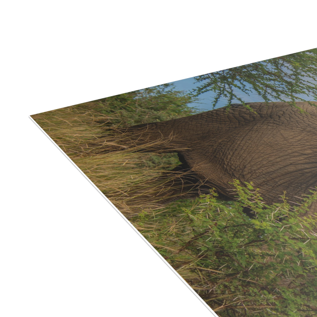 Lundi Postcards (with envelopes) 10's