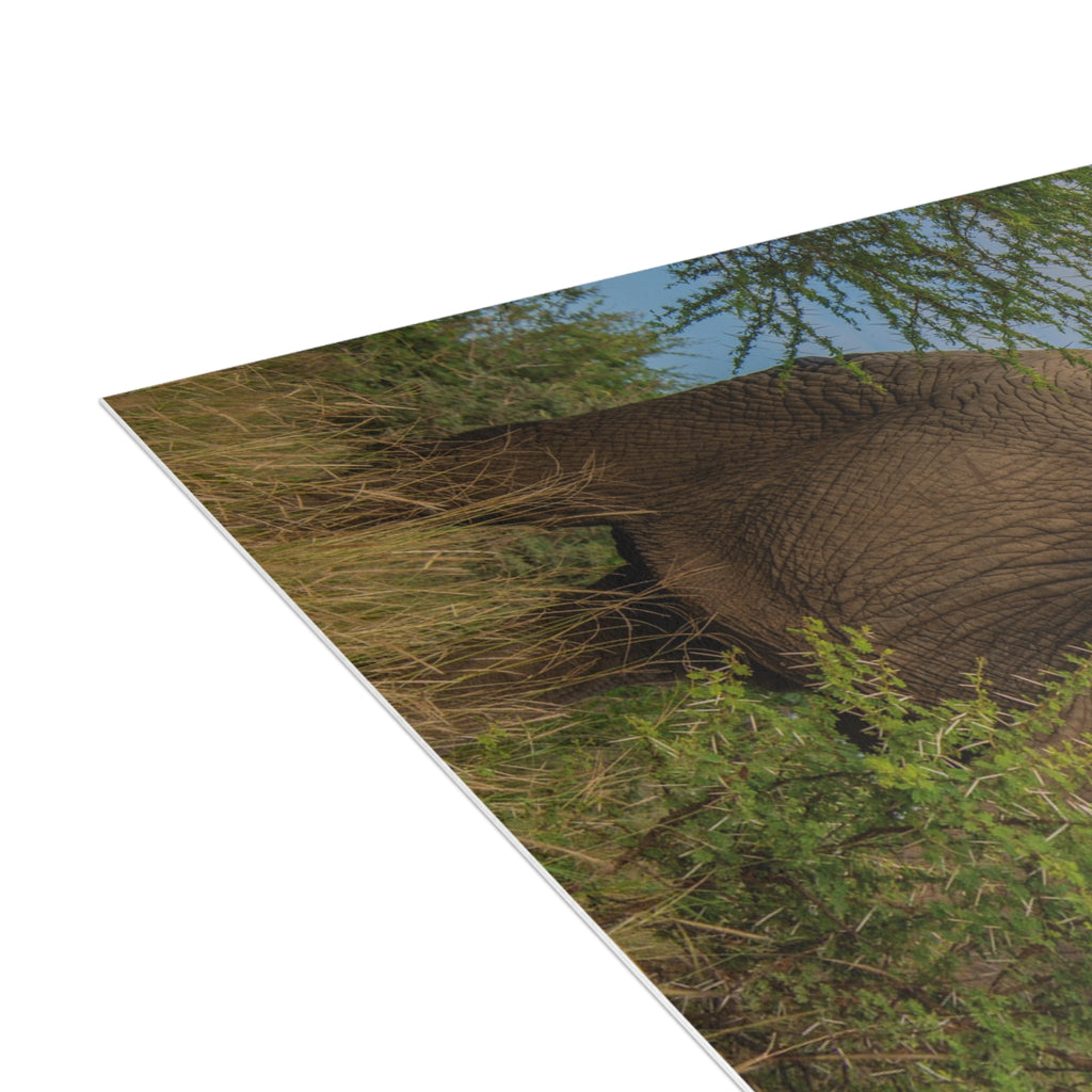 Lundi Postcards (with envelopes) 10's