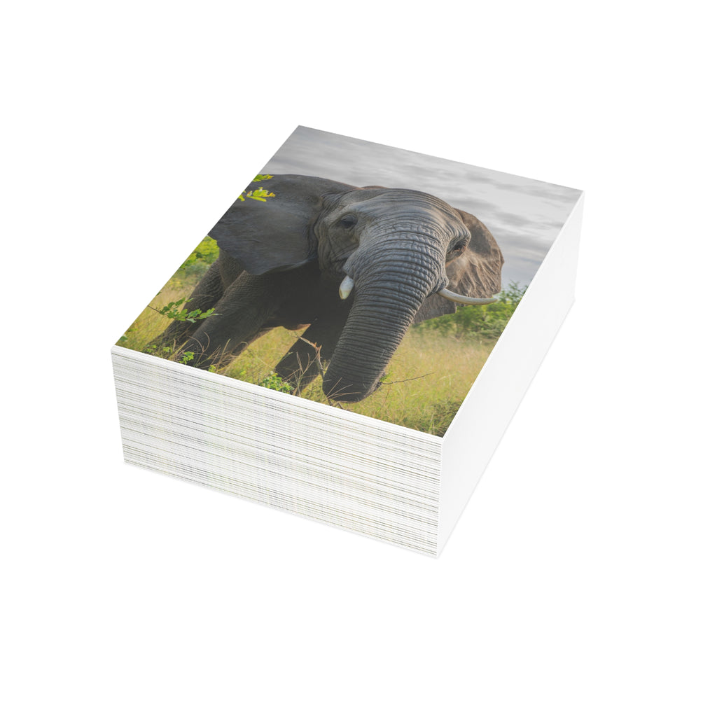Bubi Postcards (with envelopes) 10's