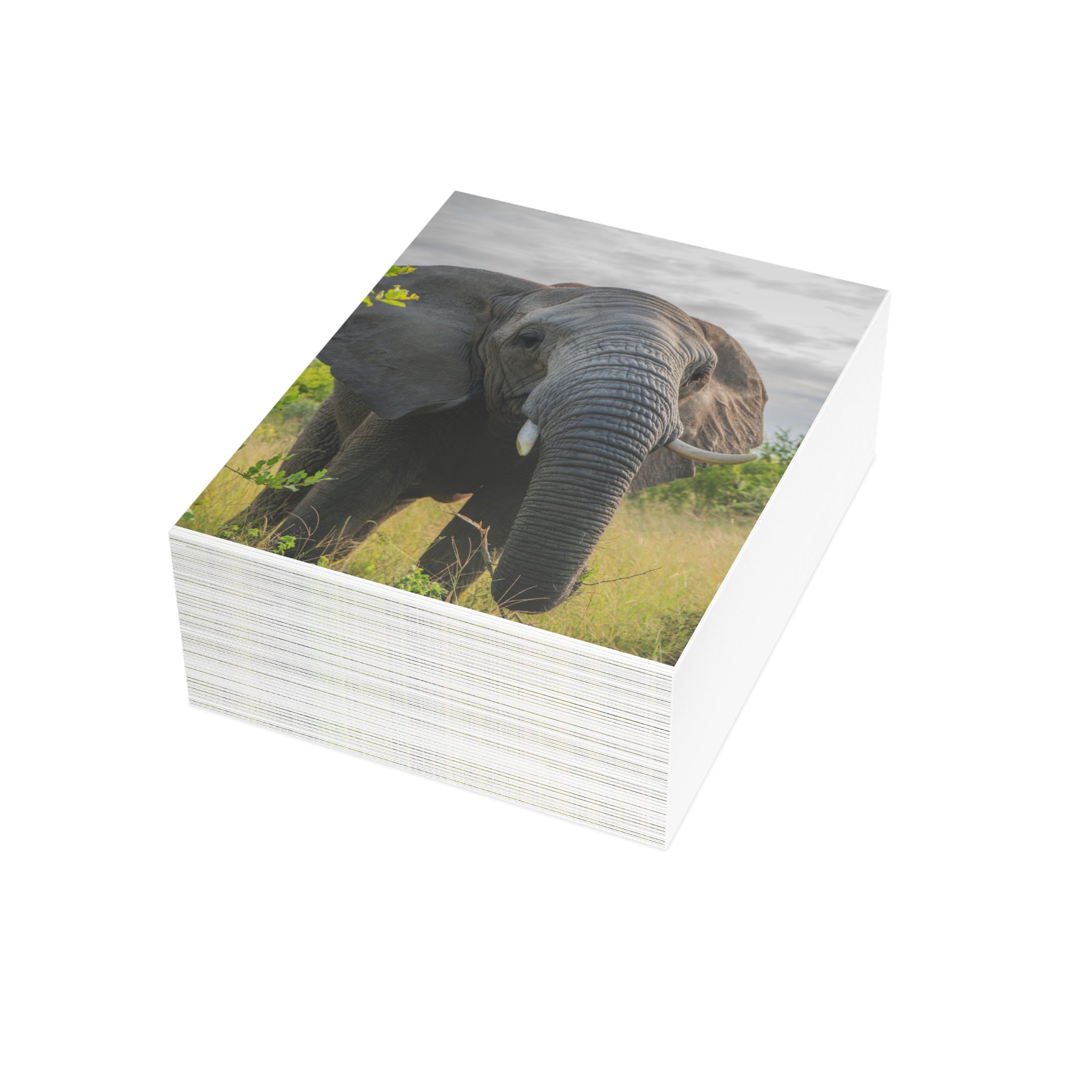 Bubi Postcards (with envelopes) 10's
