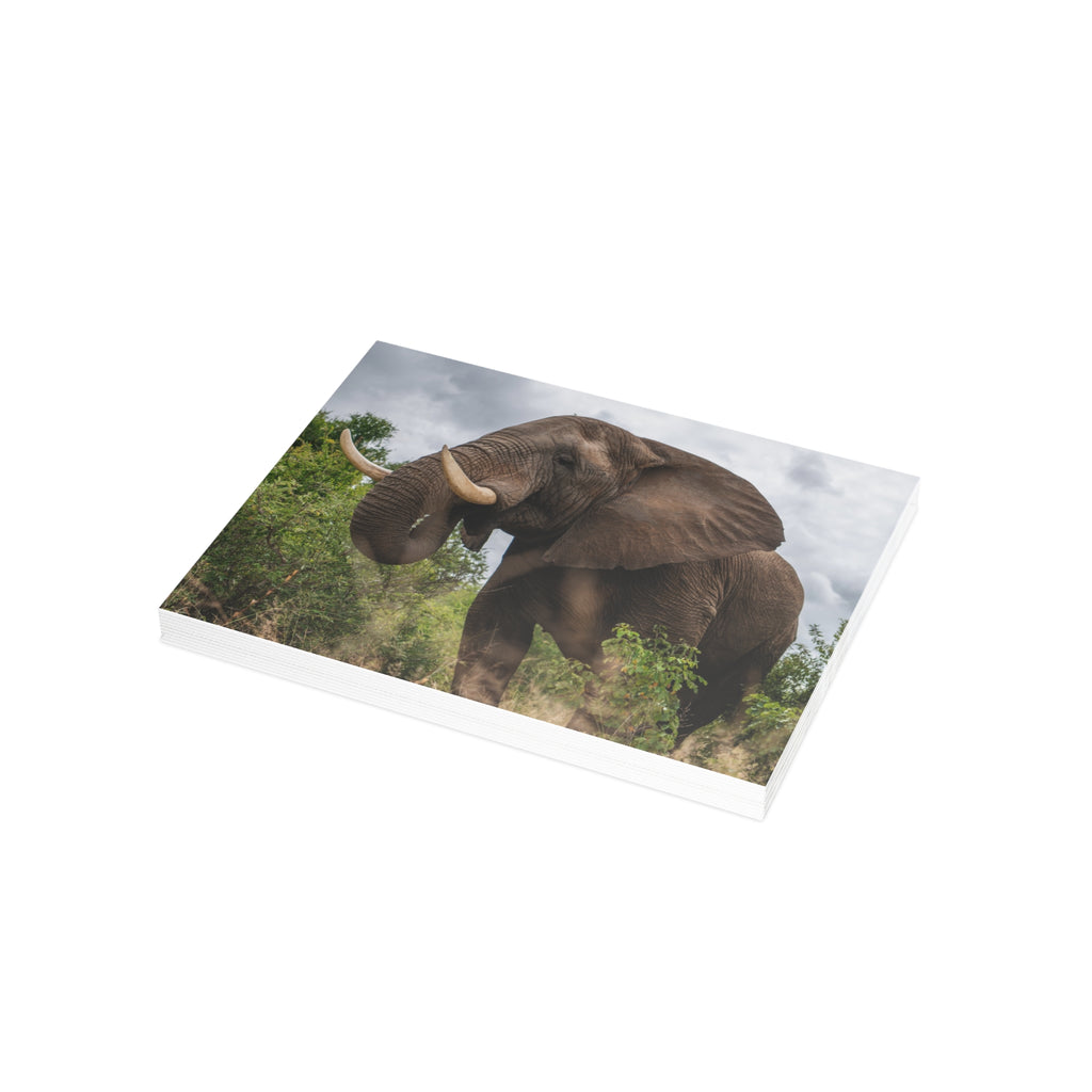 Sebakwe Postcards (with envelopes) 10's