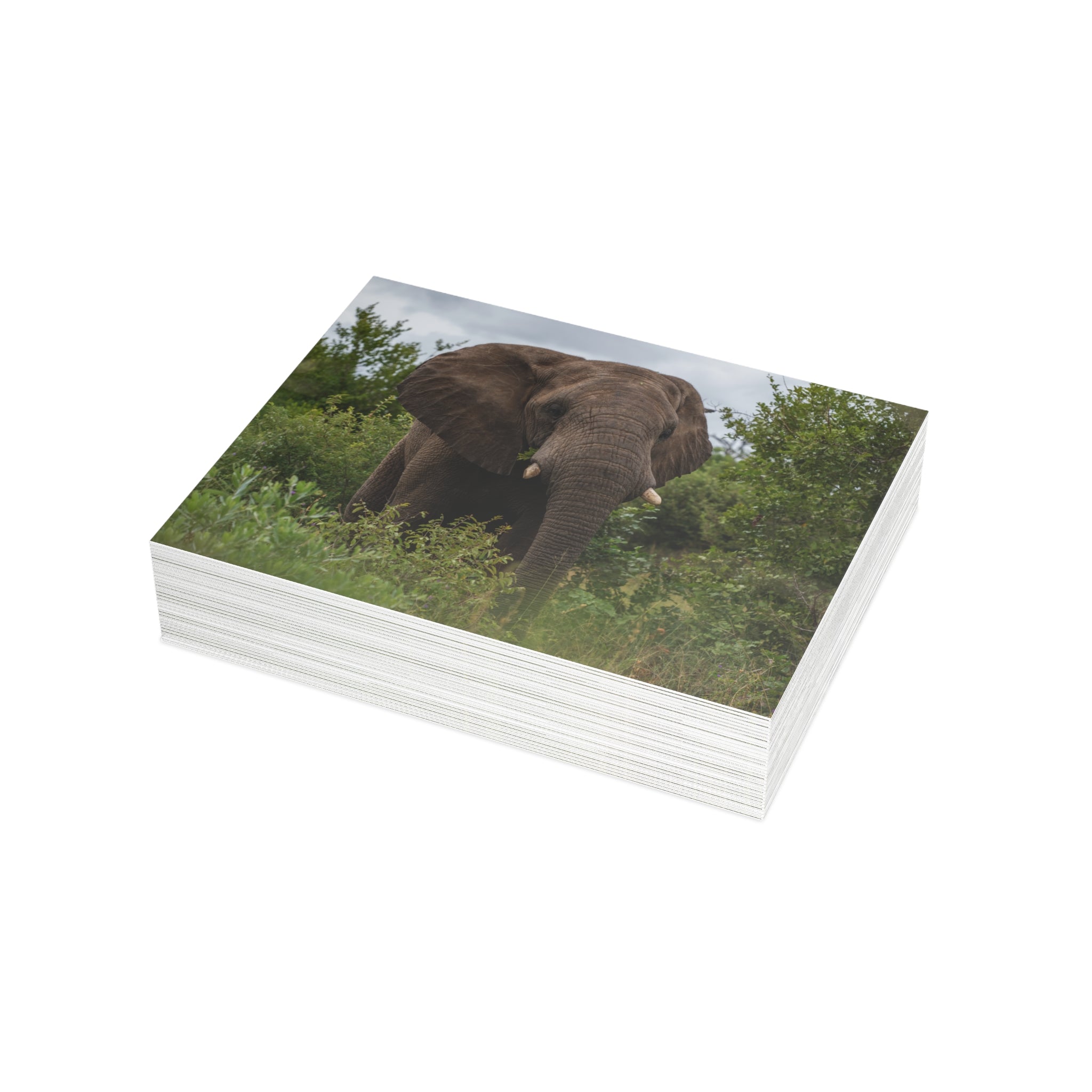 Zindoga Postcards (with envelopes) 10's
