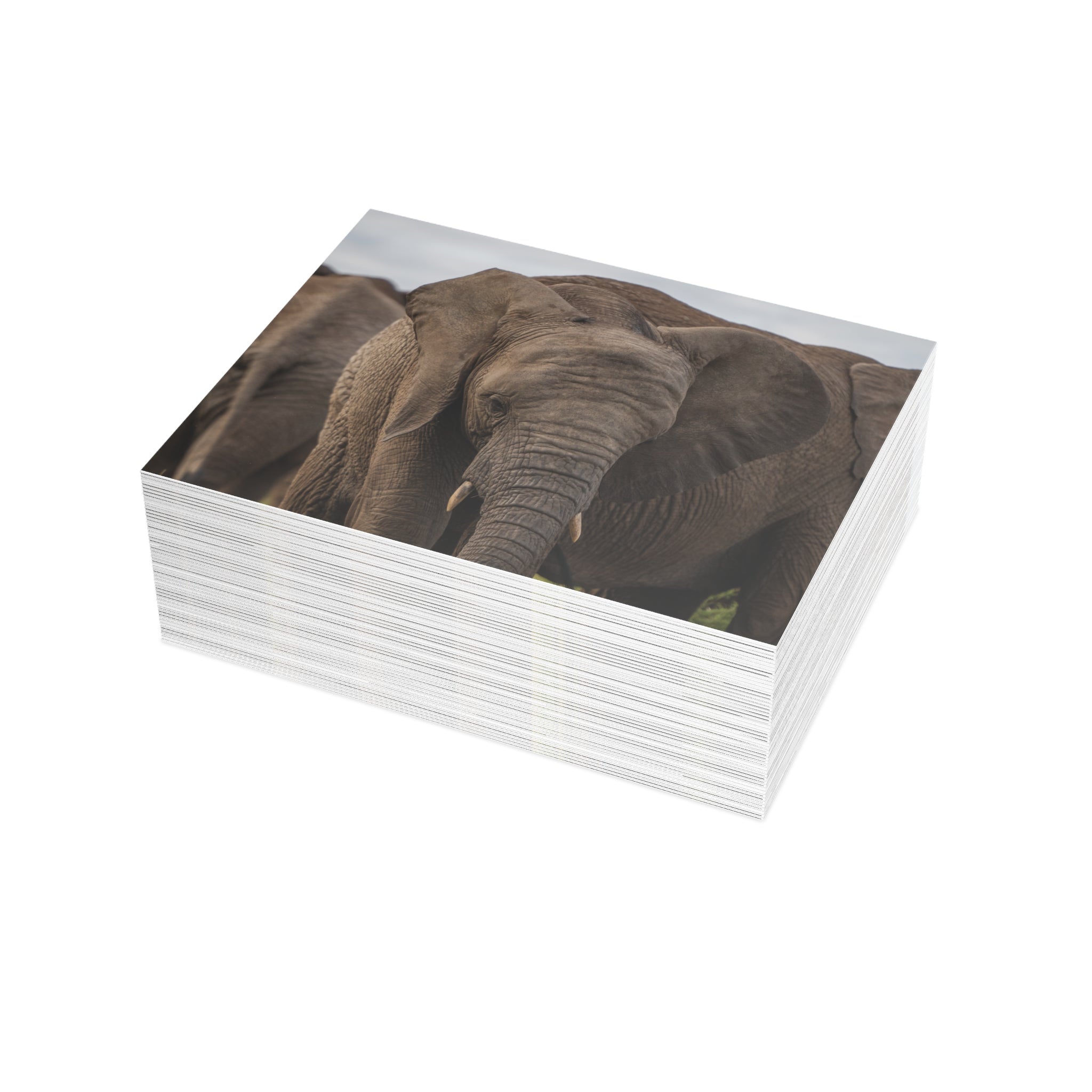 Timisa Postcards (with envelopes) 10's