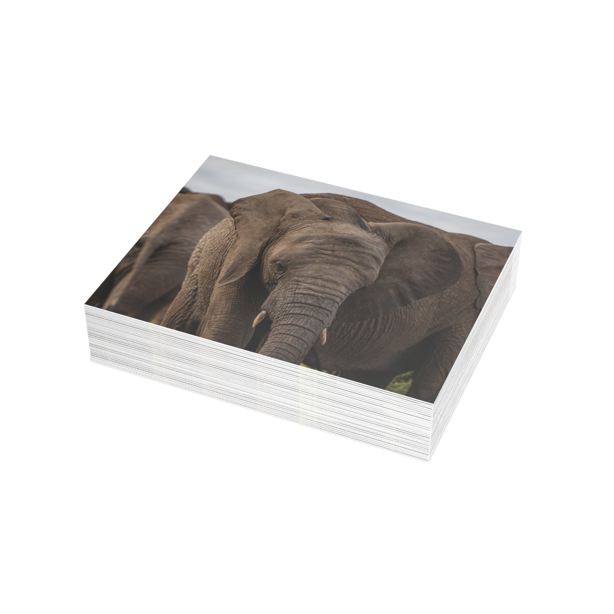 Timisa Postcards (with envelopes) 10's