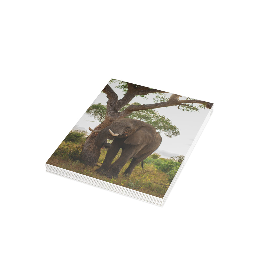 Somopane Postcards (with envelopes) 10's