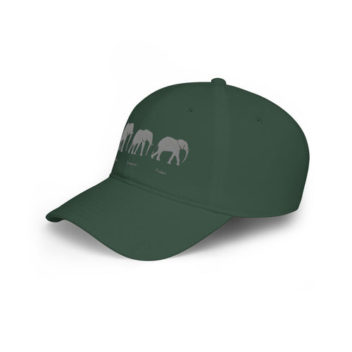 Fatherhood Low Profile Baseball Cap