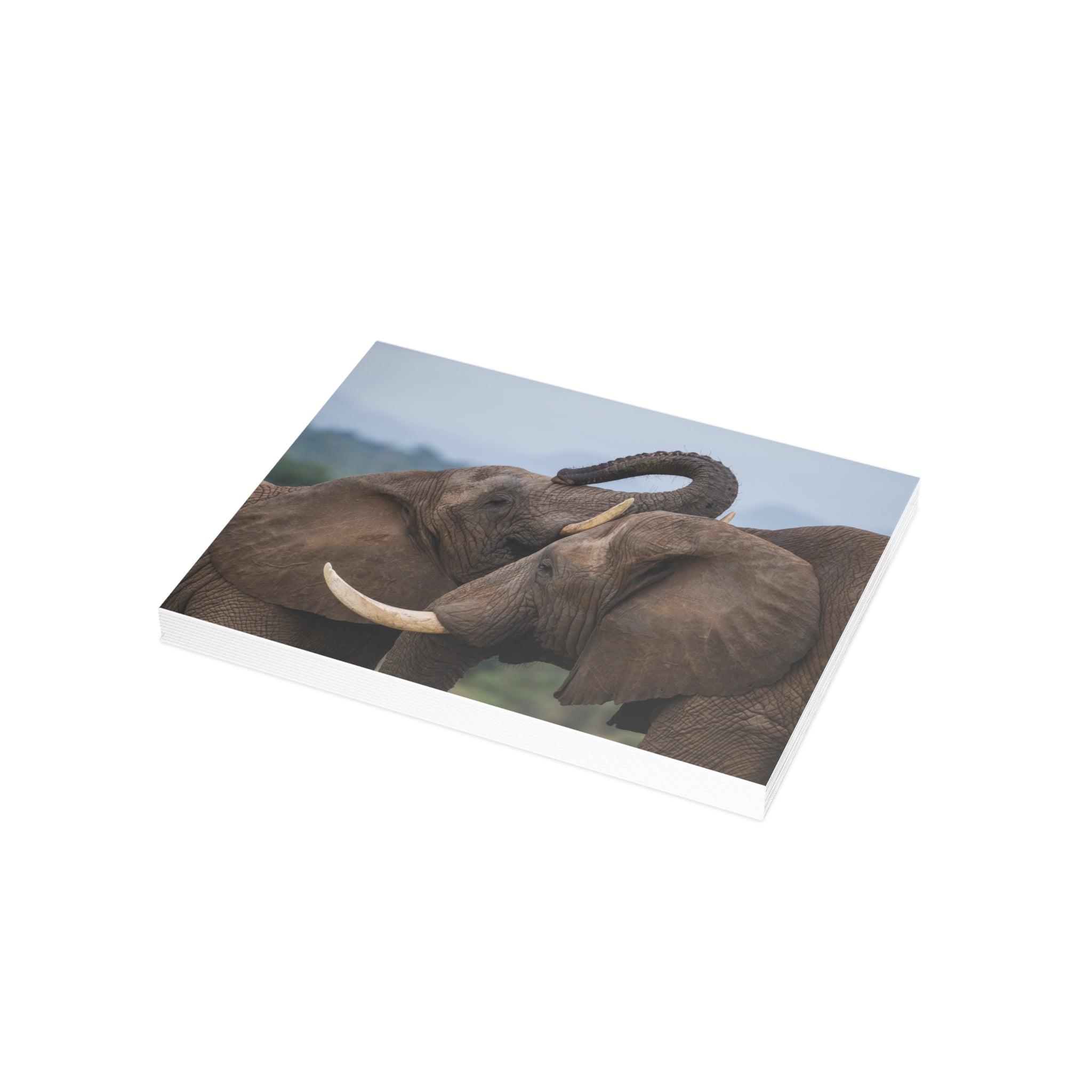 Sebakwe & Setombe Postcards (with envelopes) 10's