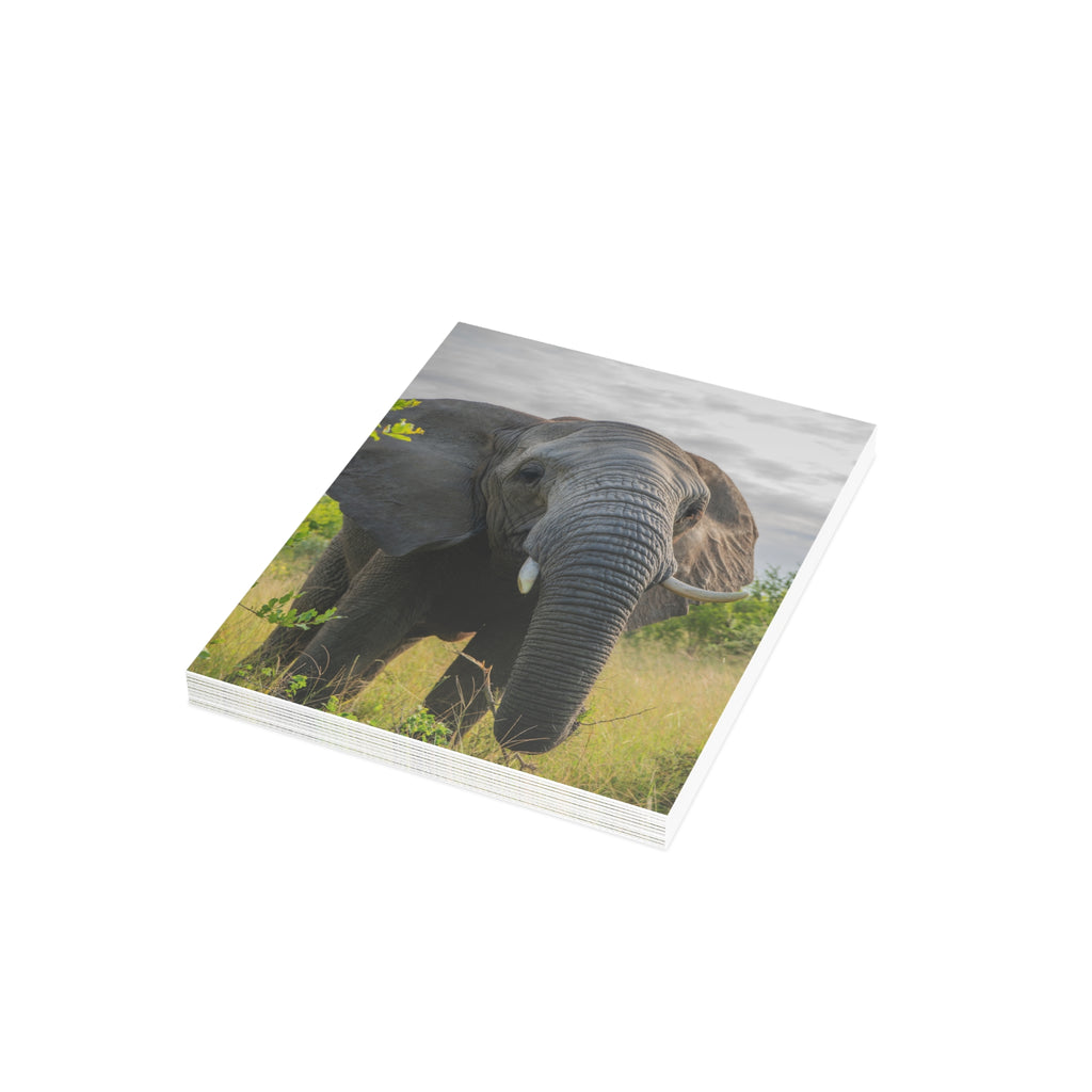 Bubi Postcards (with envelopes) 10's