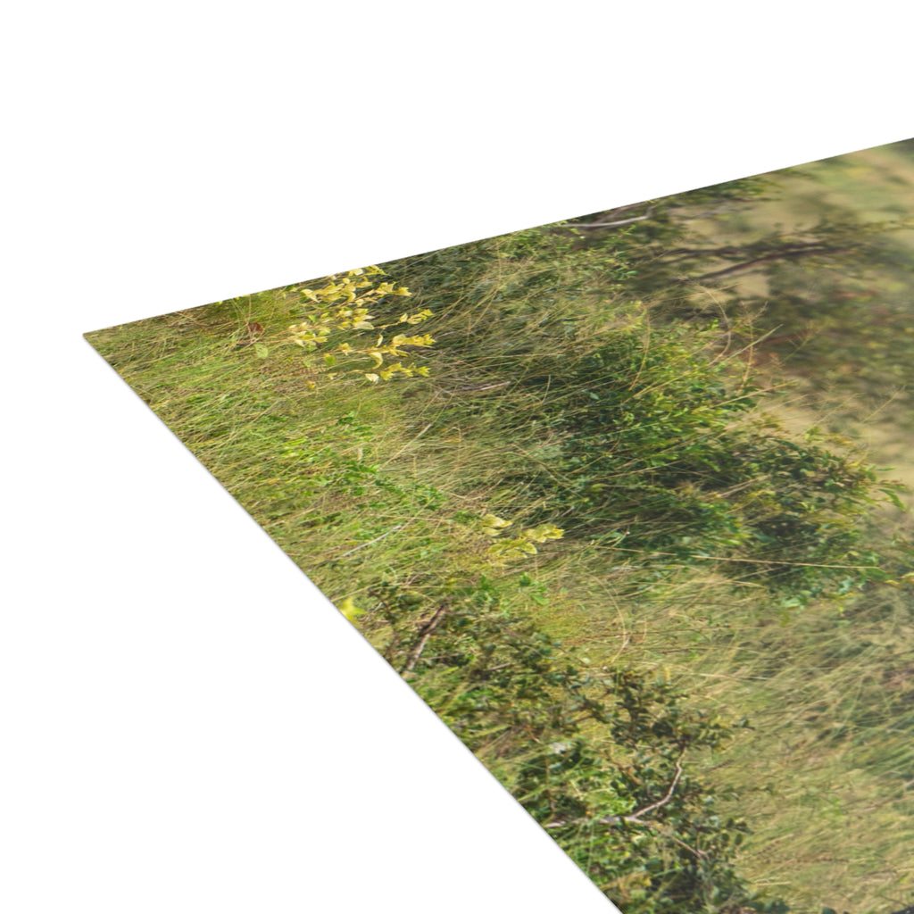 Jabulani Postcards (with envelopes) 10's