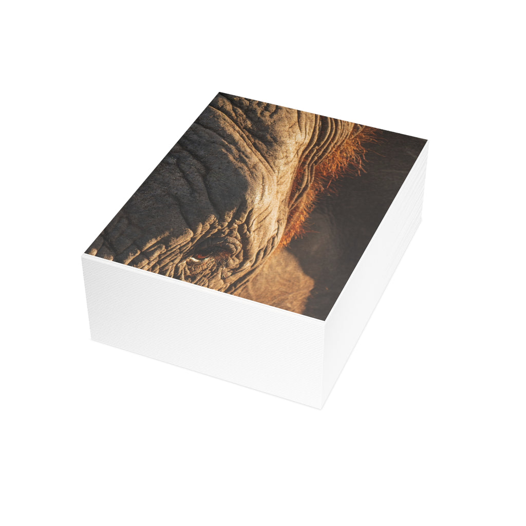 Klaserie Postcards (with envelopes) 10's