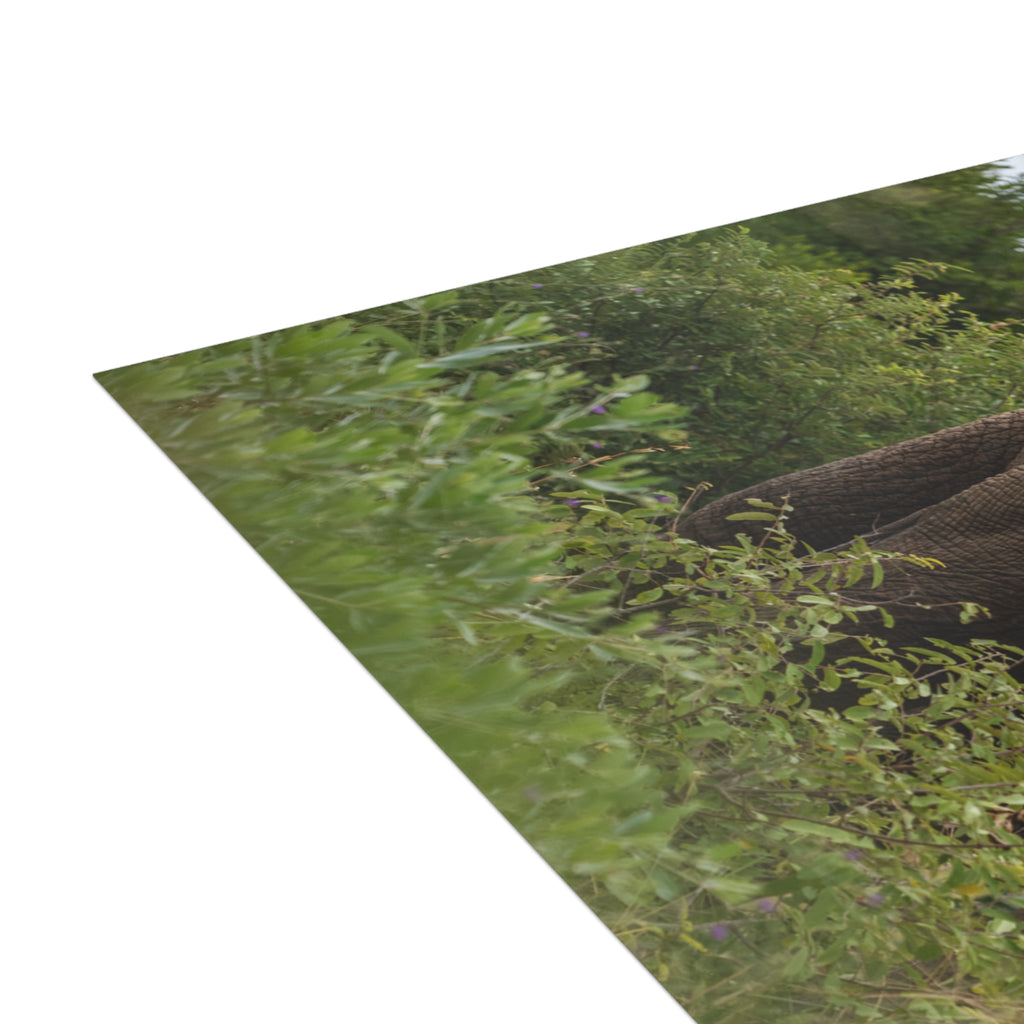 Zindoga Postcards (with envelopes) 10's