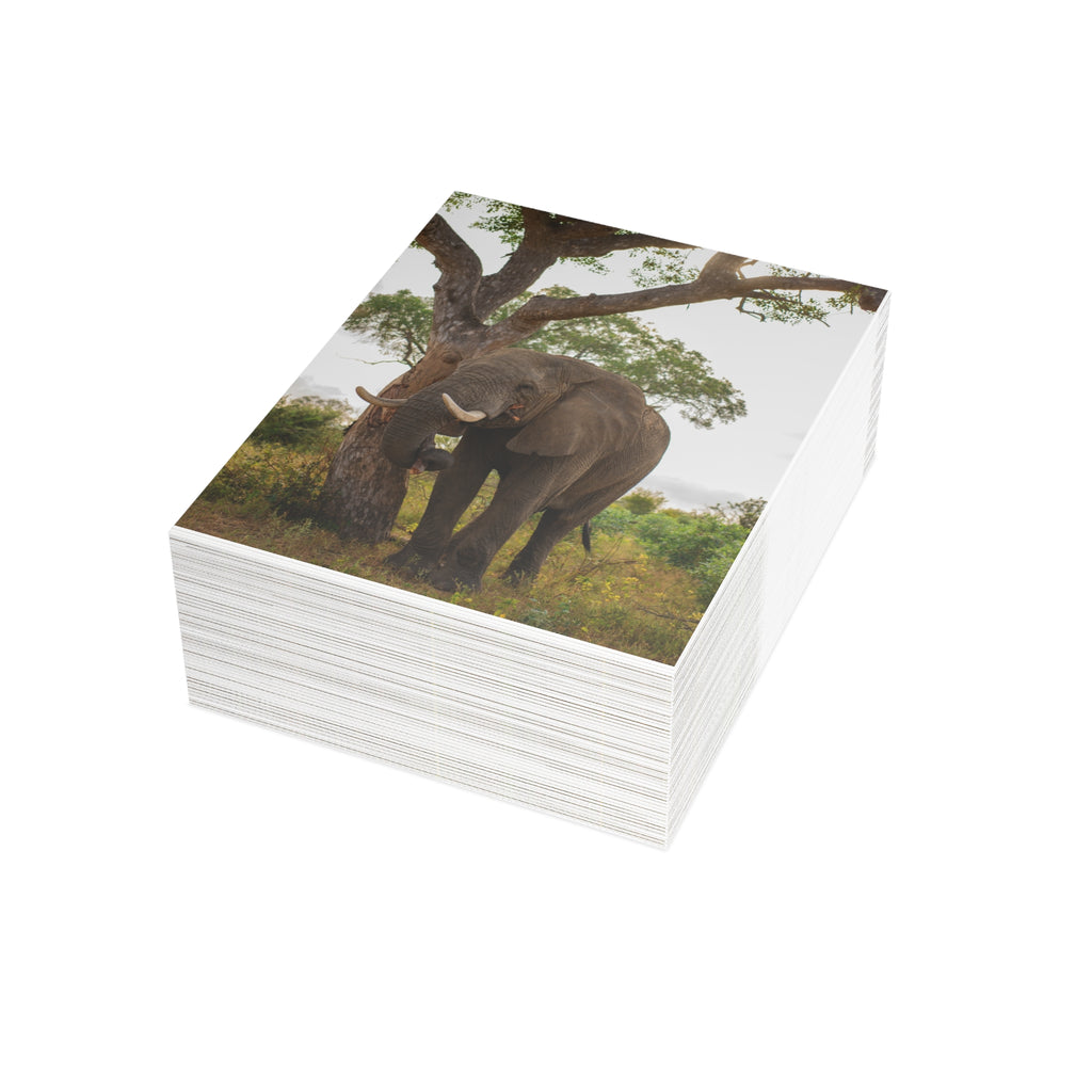 Somopane Postcards (with envelopes) 10's