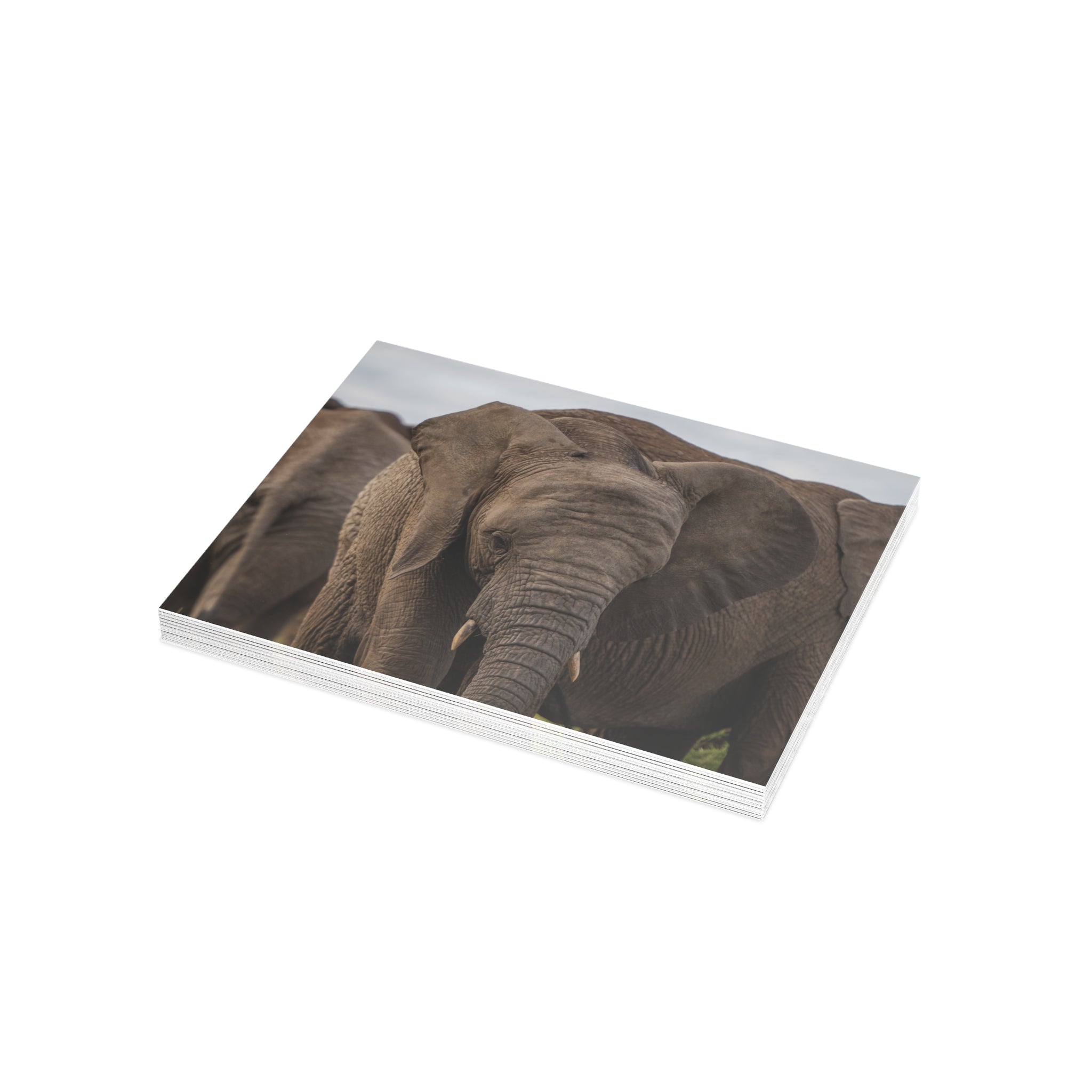 Timisa Postcards (with envelopes) 10's