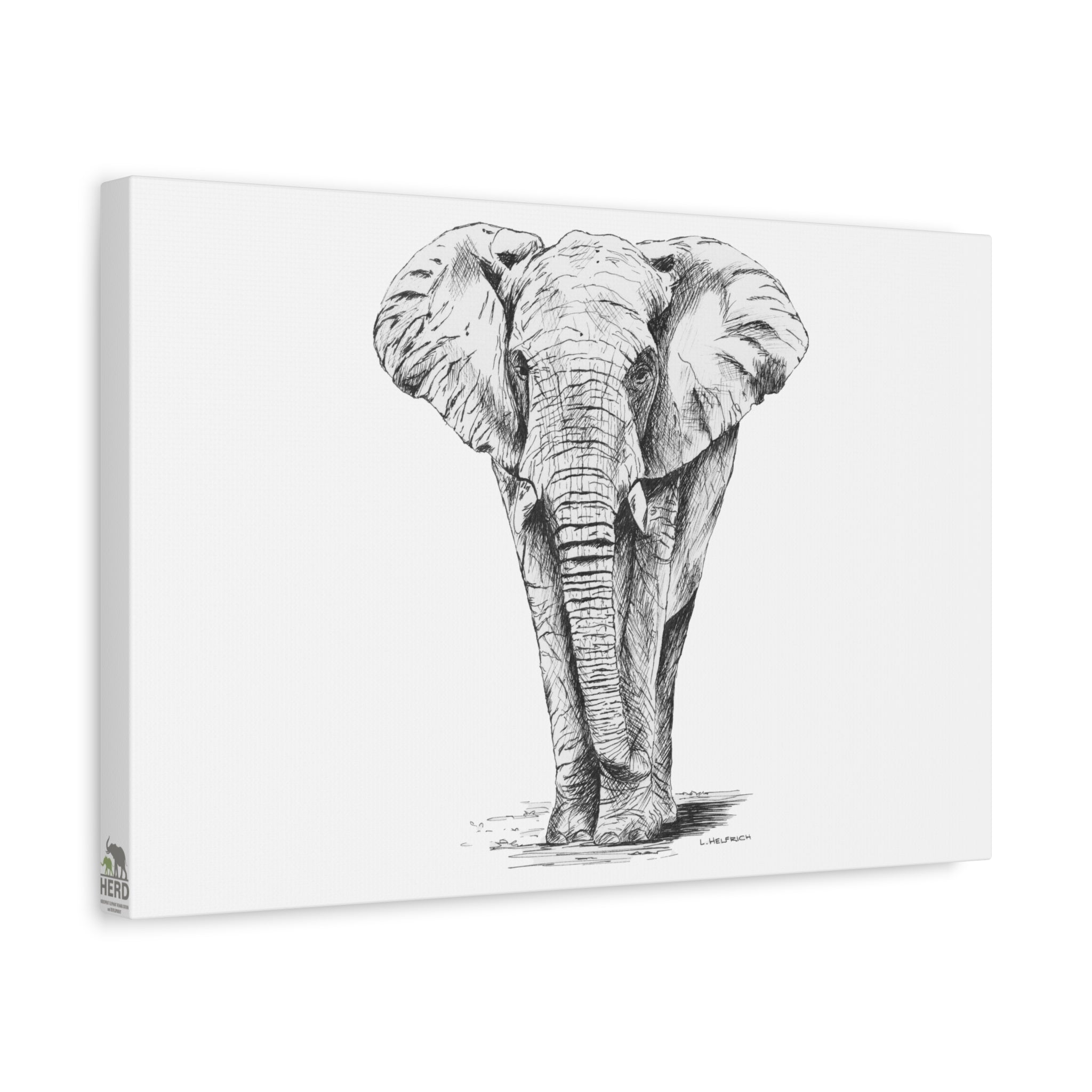 Jabulani Canvas