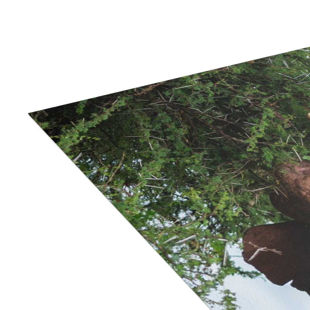 Khanyisa Postcards (with envelopes) 10's