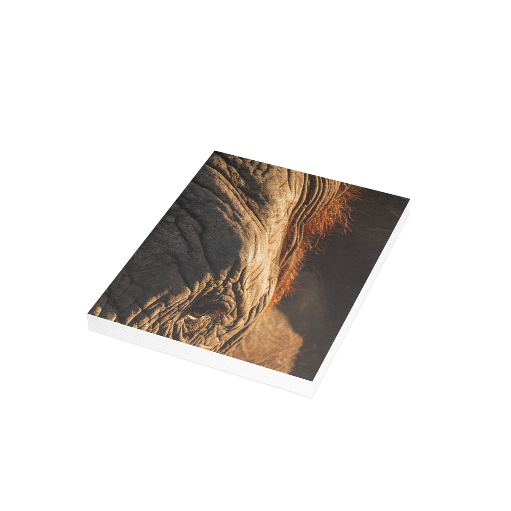 Klaserie Postcards (with envelopes) 10's