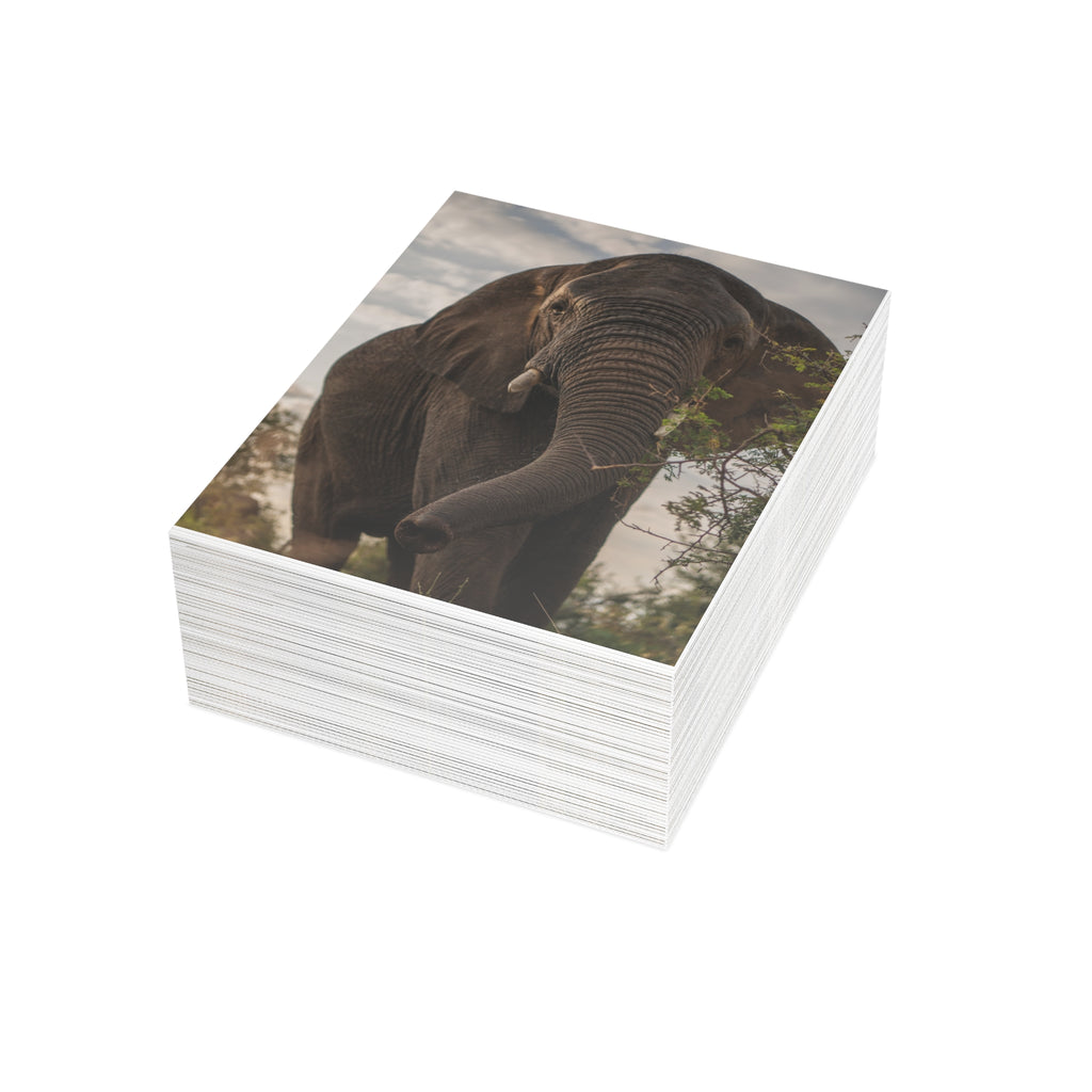 Kumbura Postcards (with envelopes) 10's