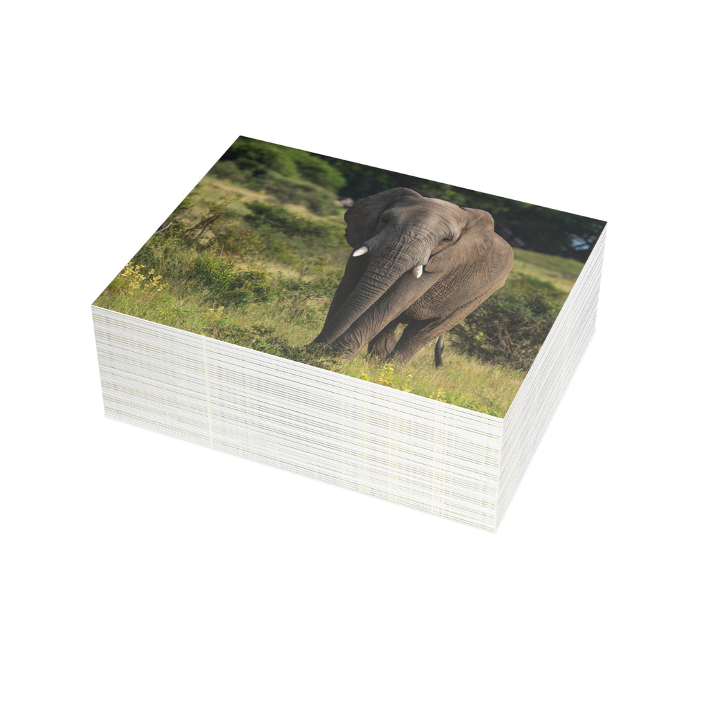 Jabulani Postcards (with envelopes) 10's