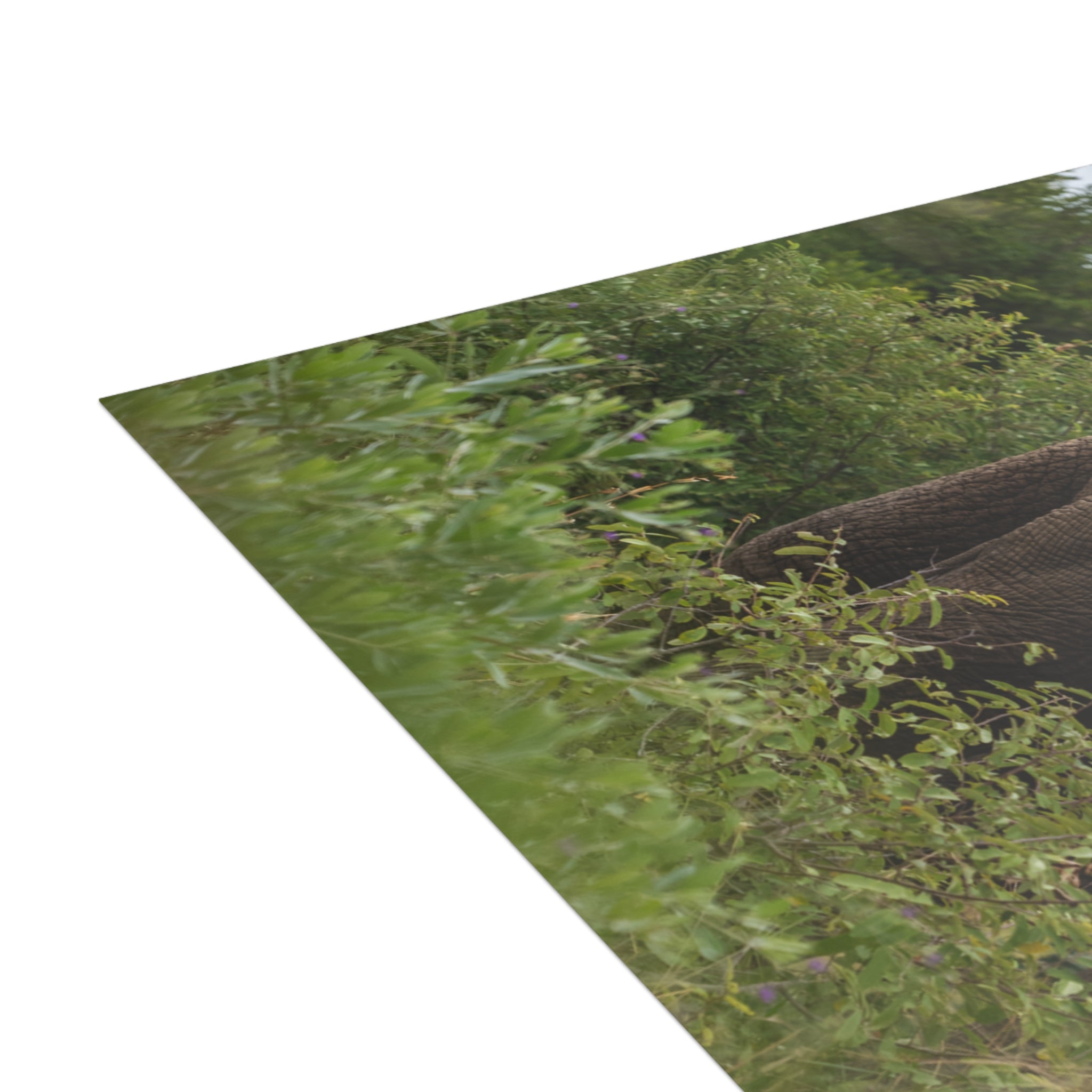 Zindoga Postcards (with envelopes) 10's