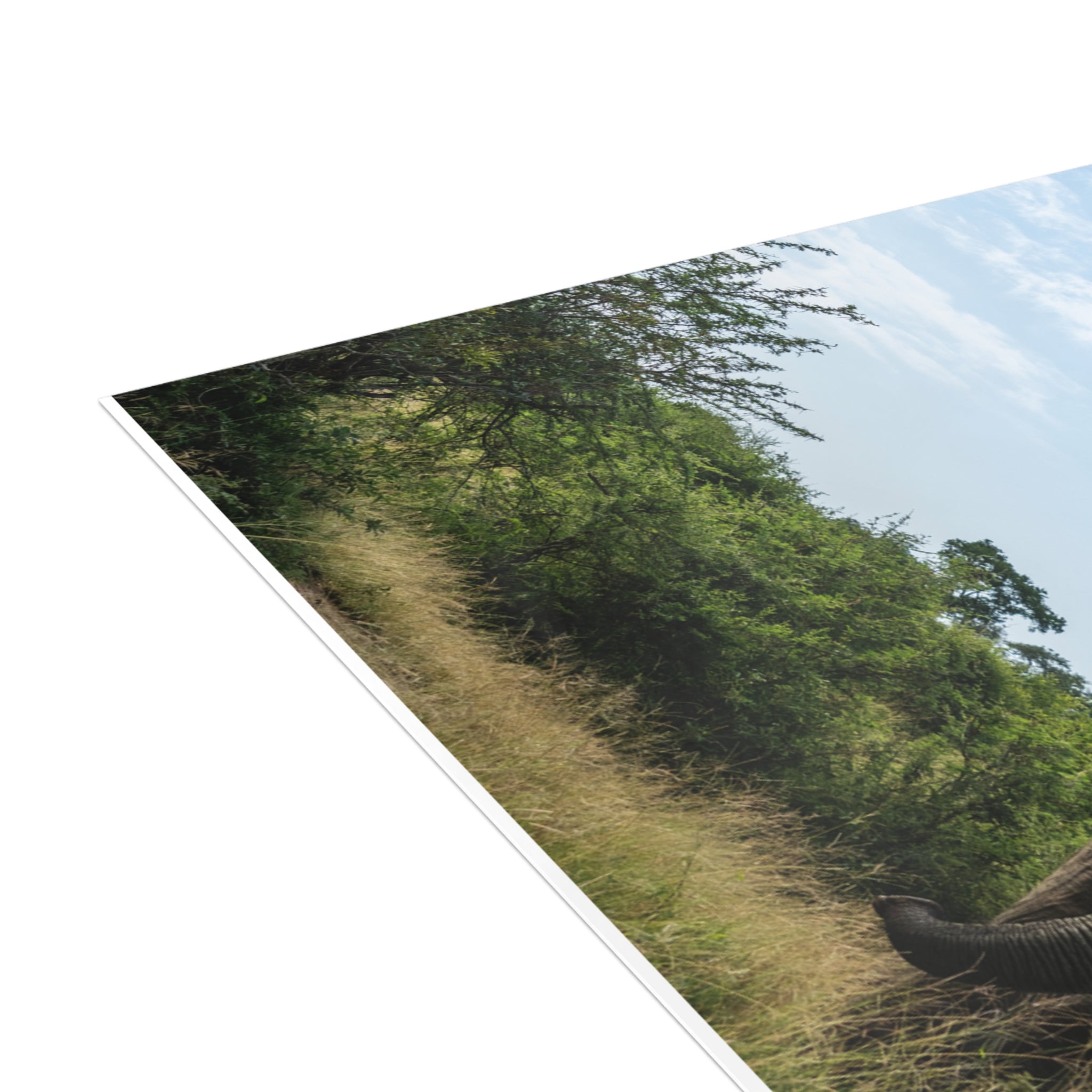 Fishan Postcards (with envelopes) 10's