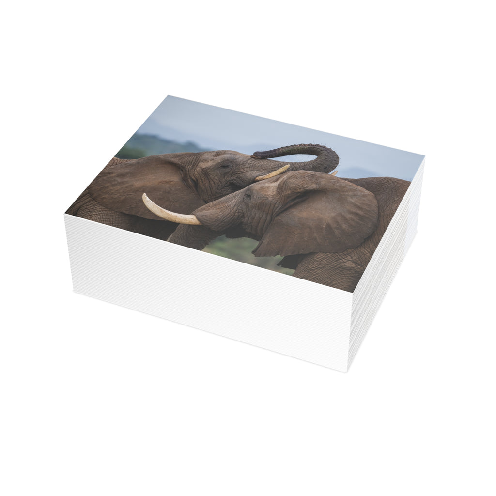 Sebakwe & Setombe Postcards (with envelopes) 10's