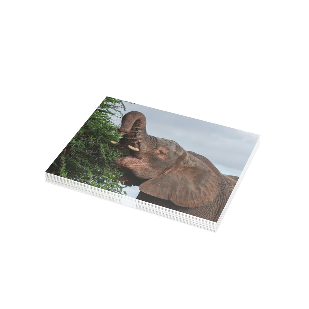 Khanyisa Postcards (with envelopes) 10's