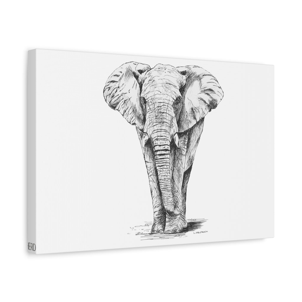 Jabulani Canvas