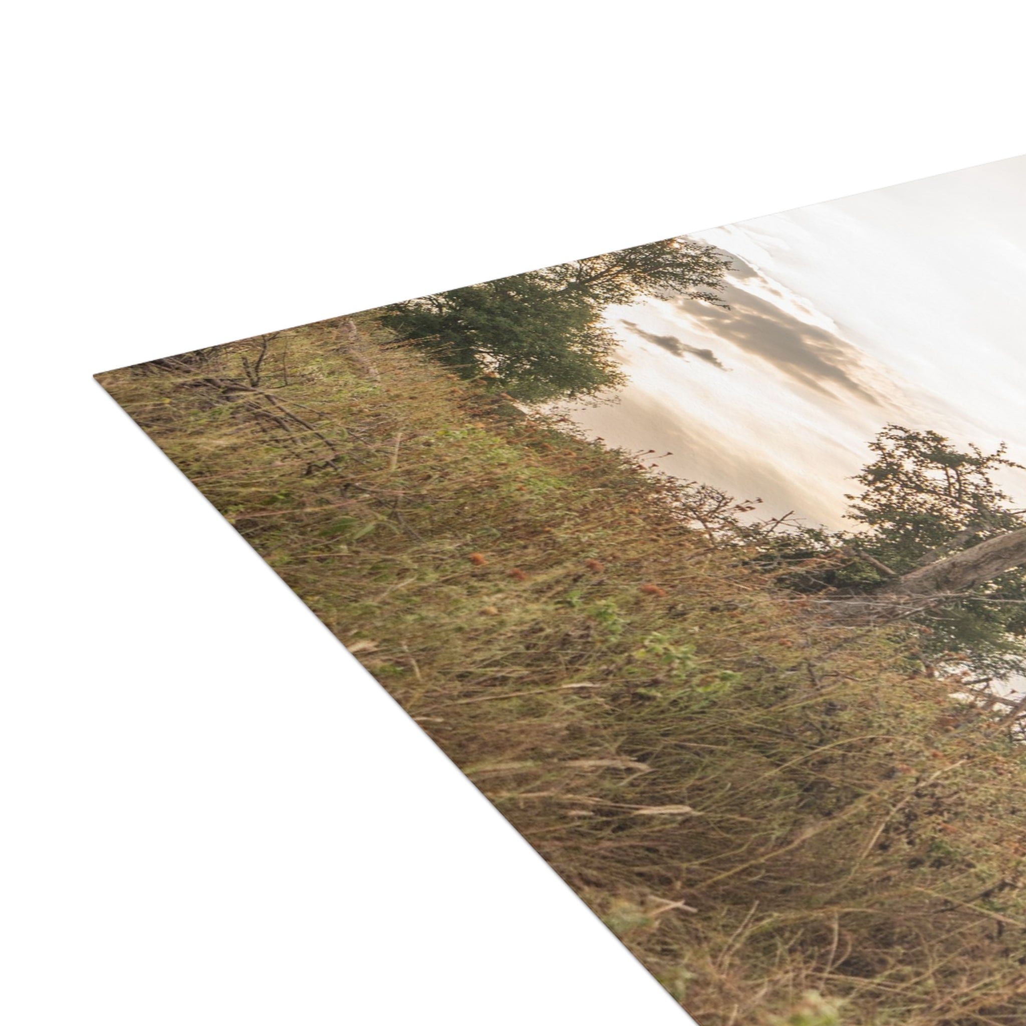 Jabulani Postcards (with envelopes) 10's