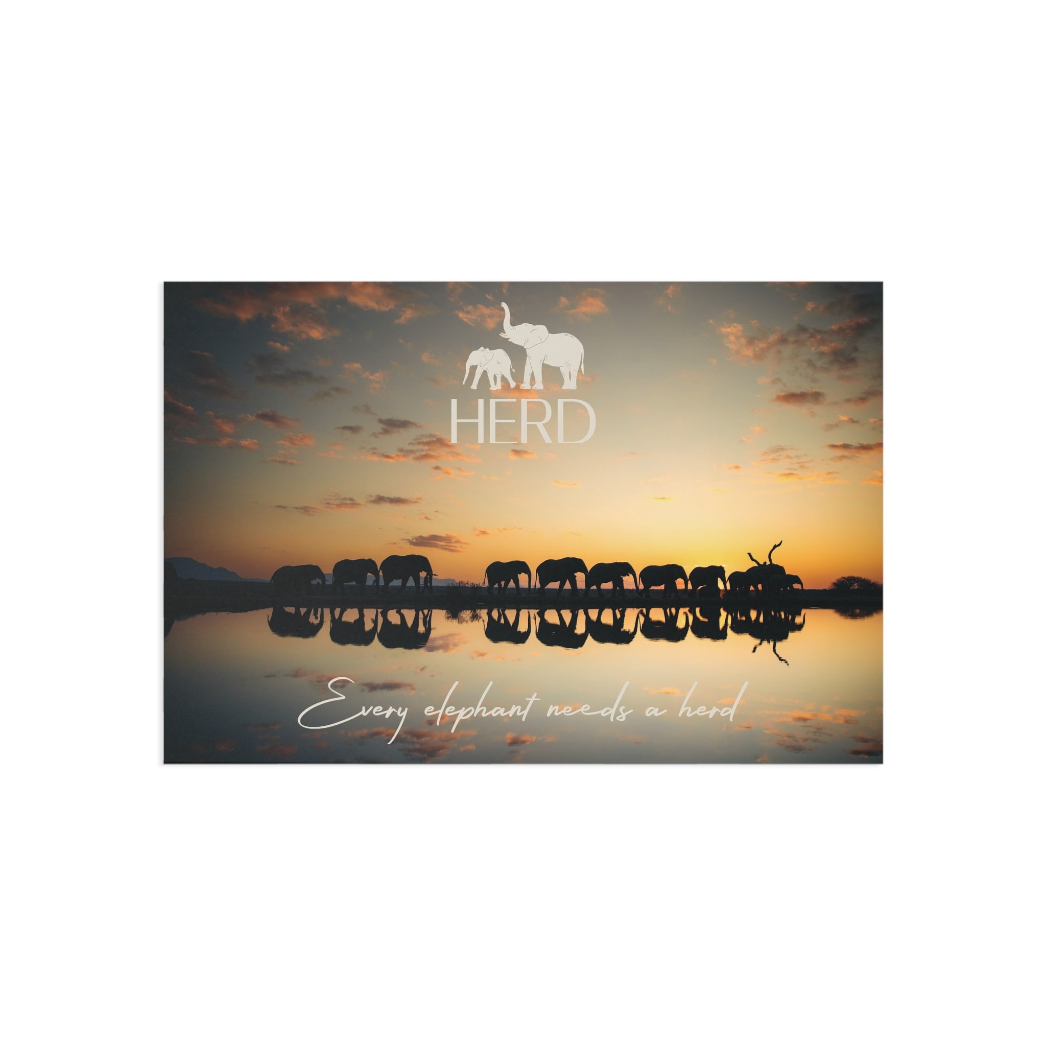 HERD Sunset Postcard