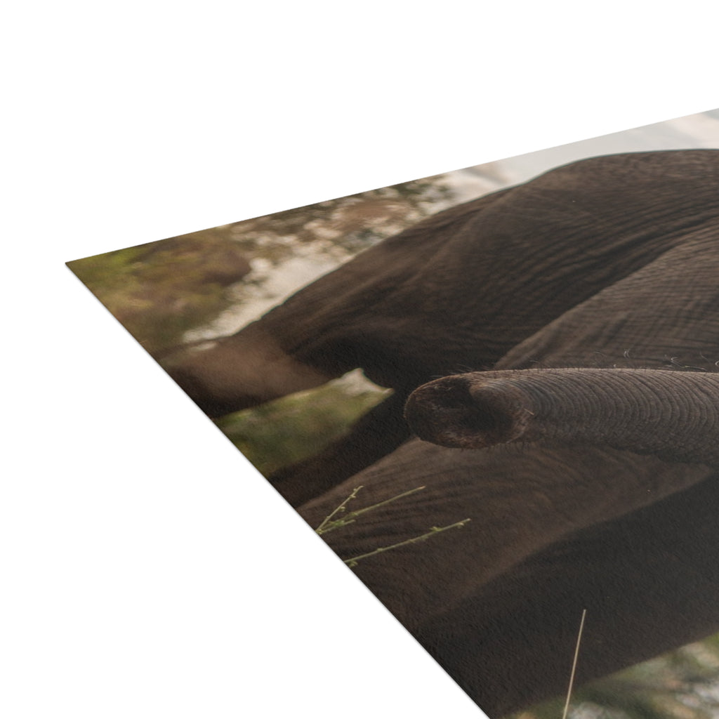 Kumbura Postcards (with envelopes) 10's