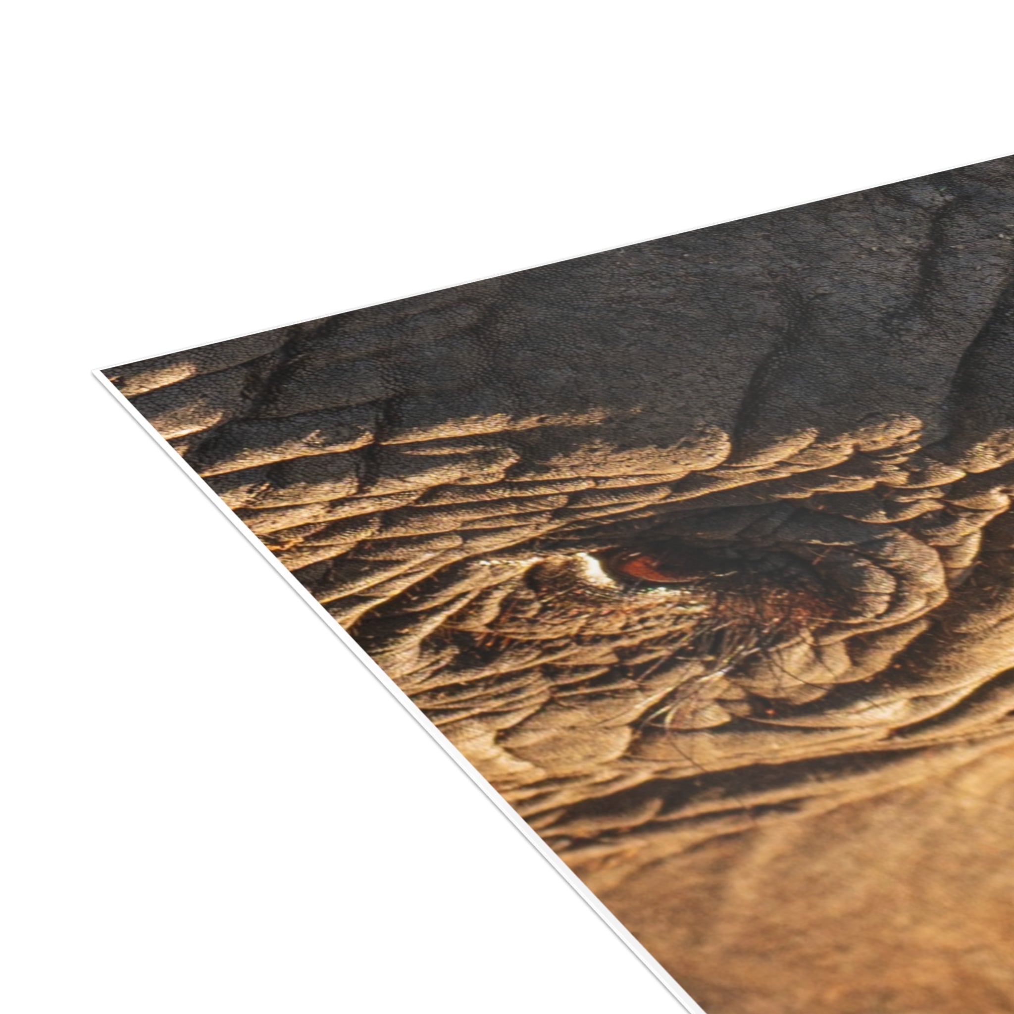 Klaserie Postcards (with envelopes) 10's