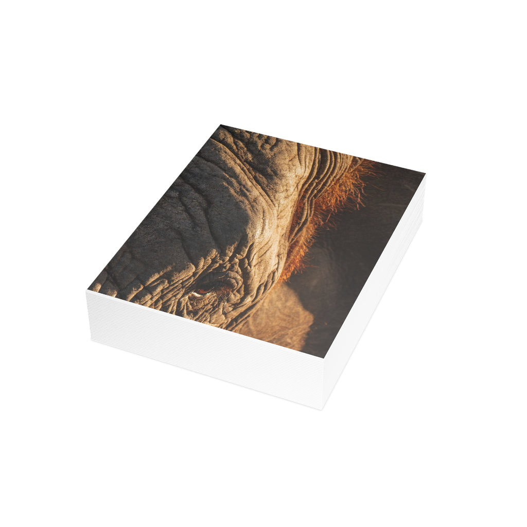 Klaserie Postcards (with envelopes) 10's